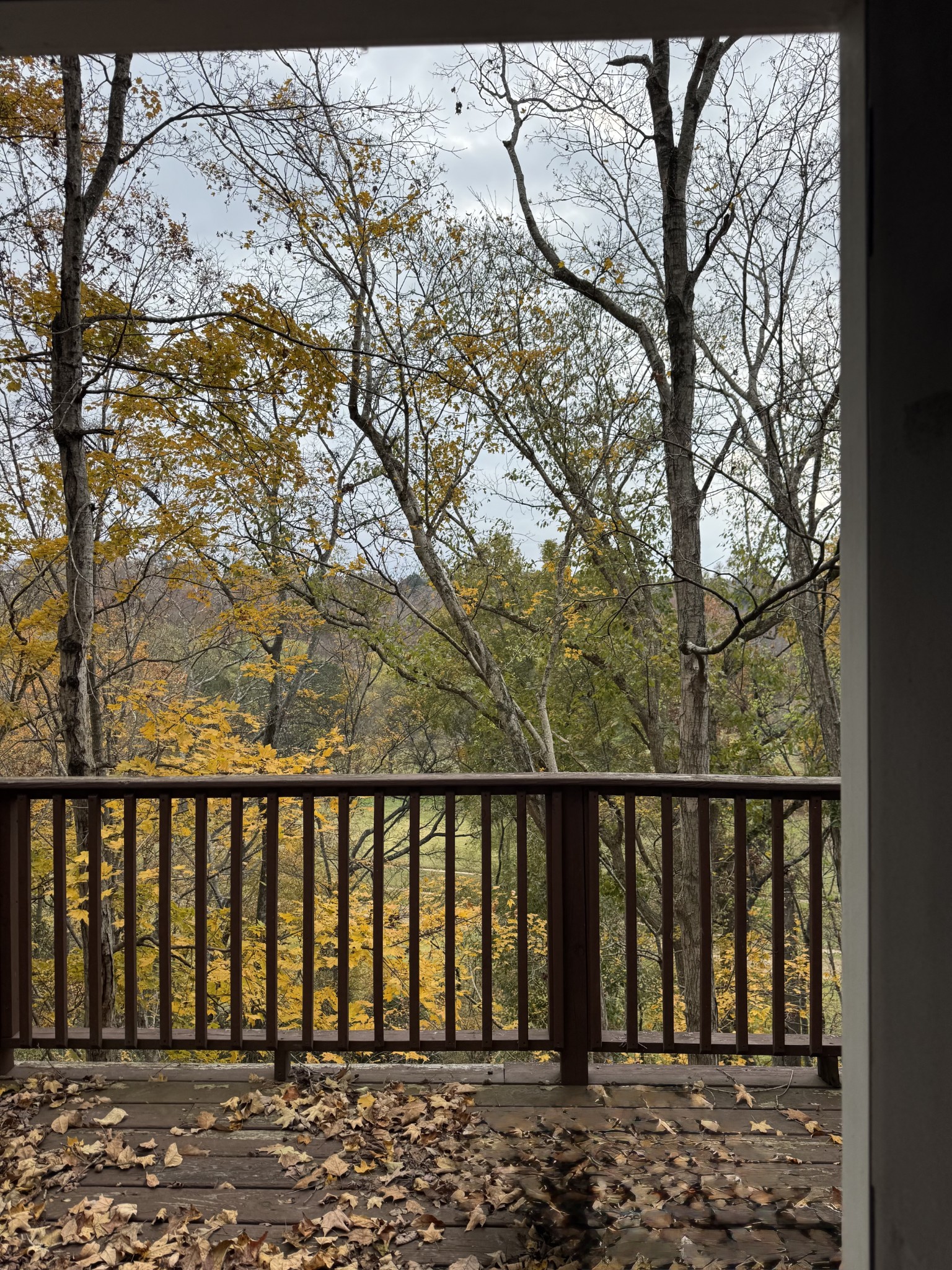 1304 Sycamore Valley Rd