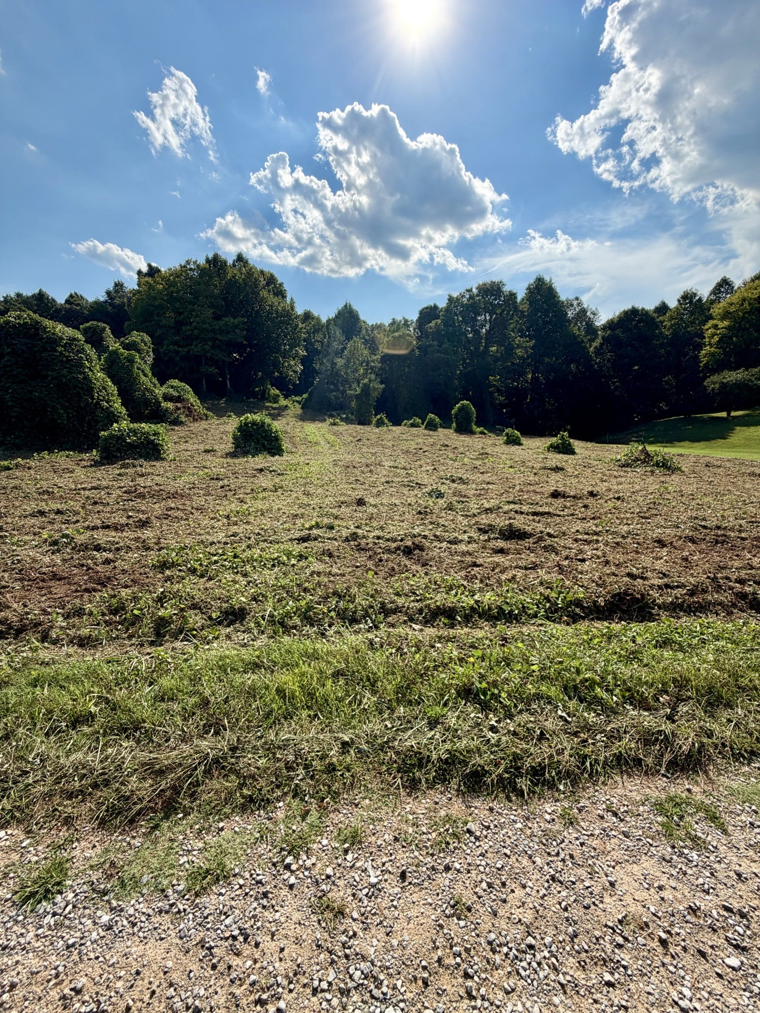 140 Scenic View Lane