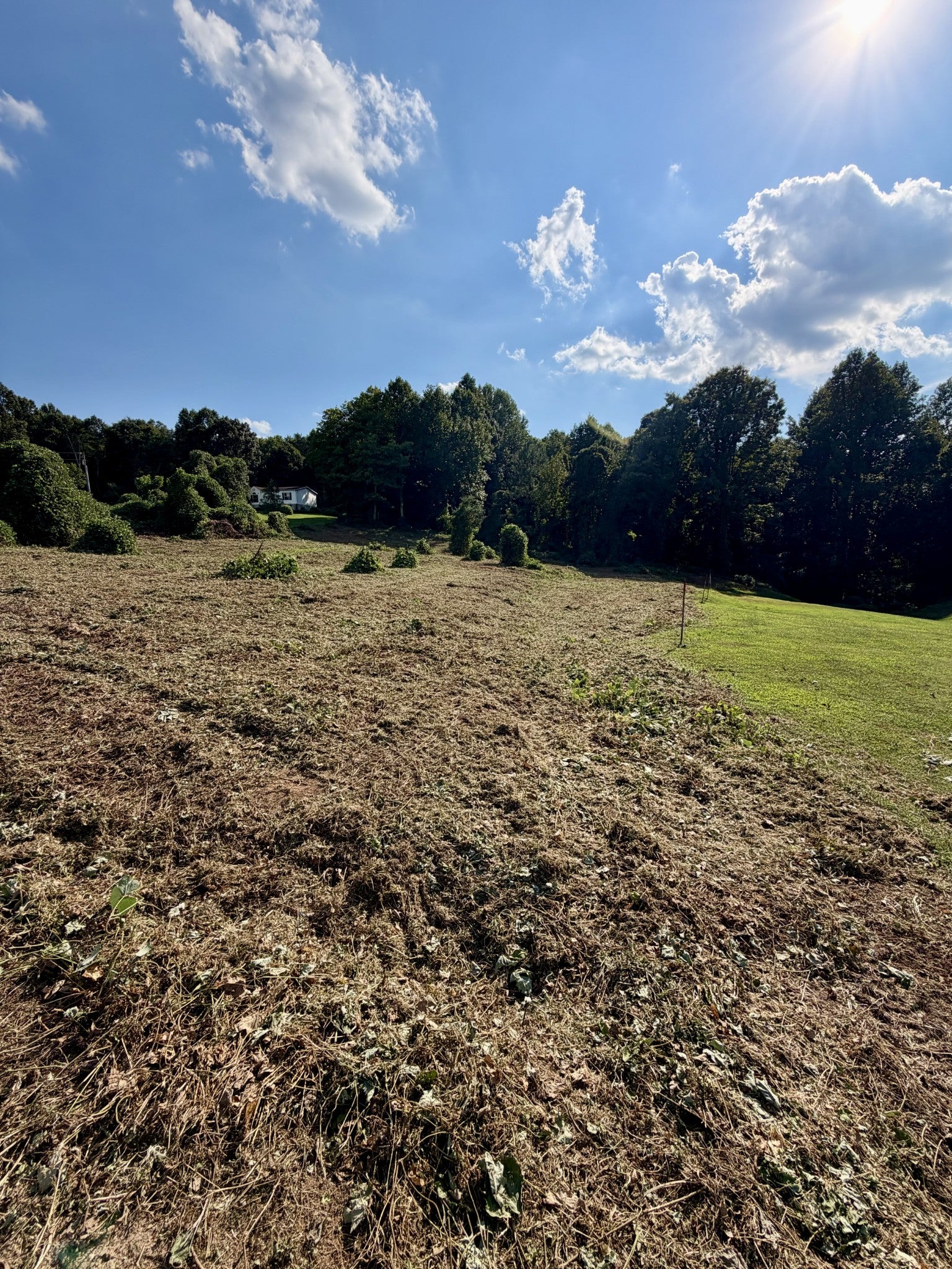 140 Scenic View Lane