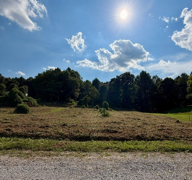 140 Scenic View Lane