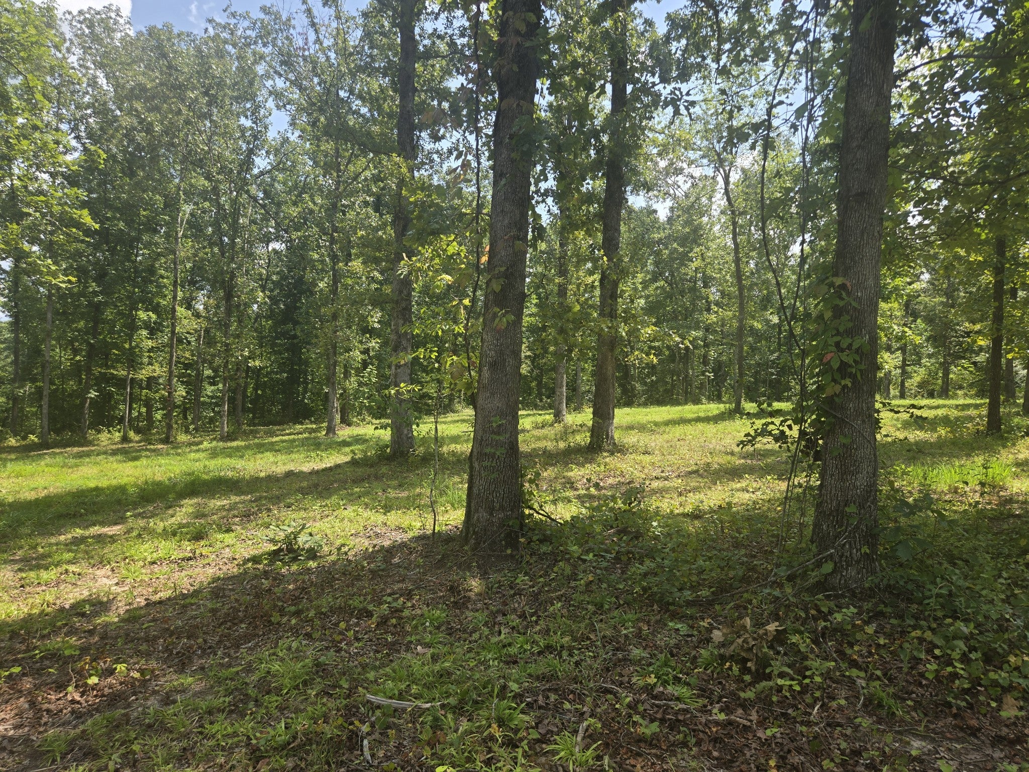 655 Dyer Rd