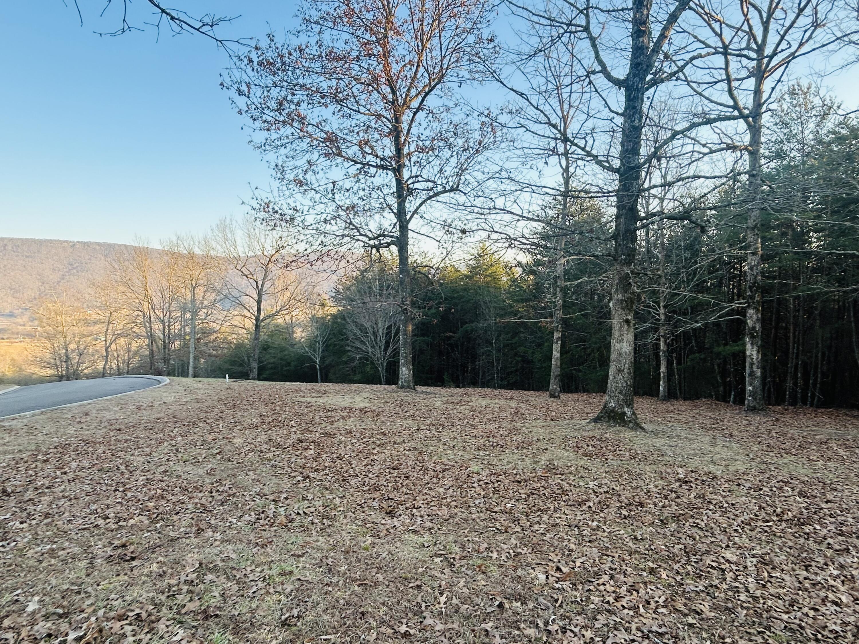 2 BUILDABLE LOTS