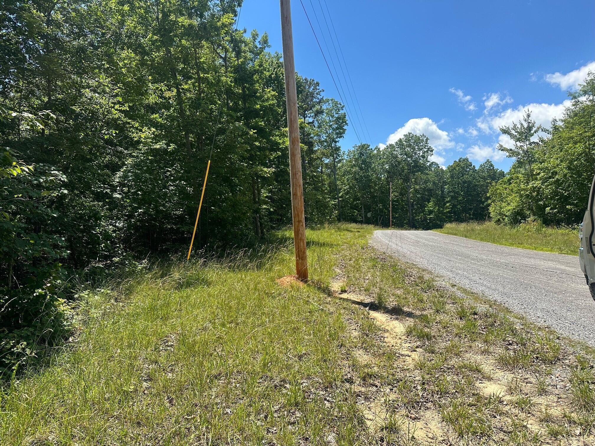 Lot 189 Kyuga Drive #189, South Pittsburg, Tennessee image 4