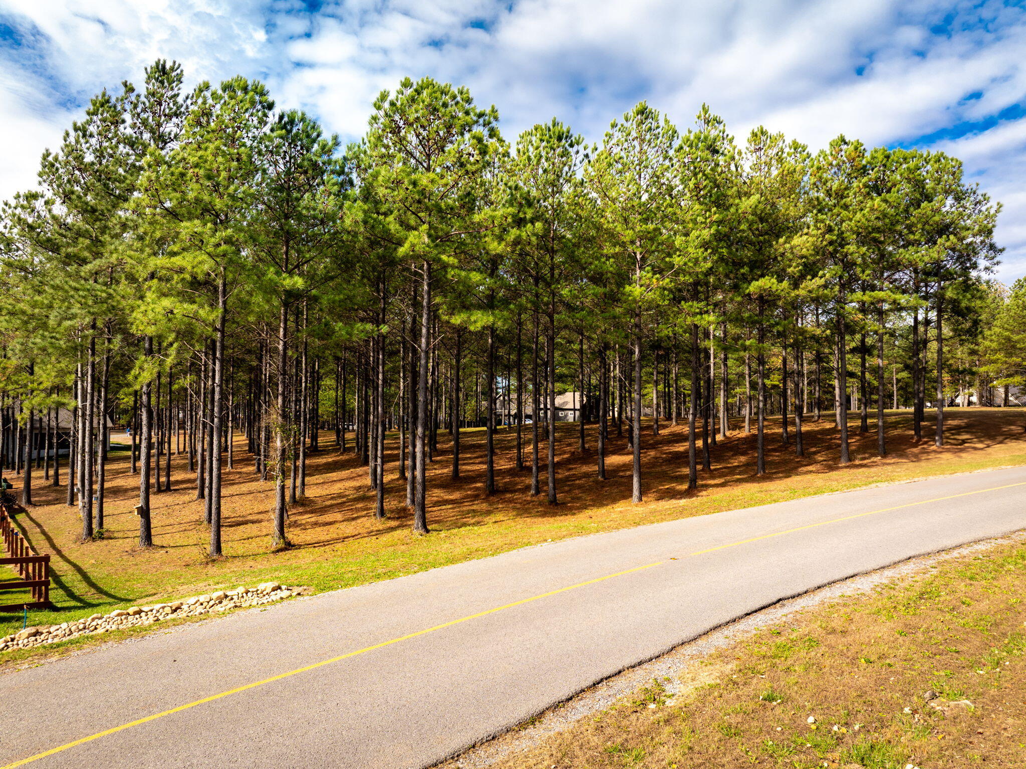 Deer Ridge Point, Jasper, Tennessee image 23