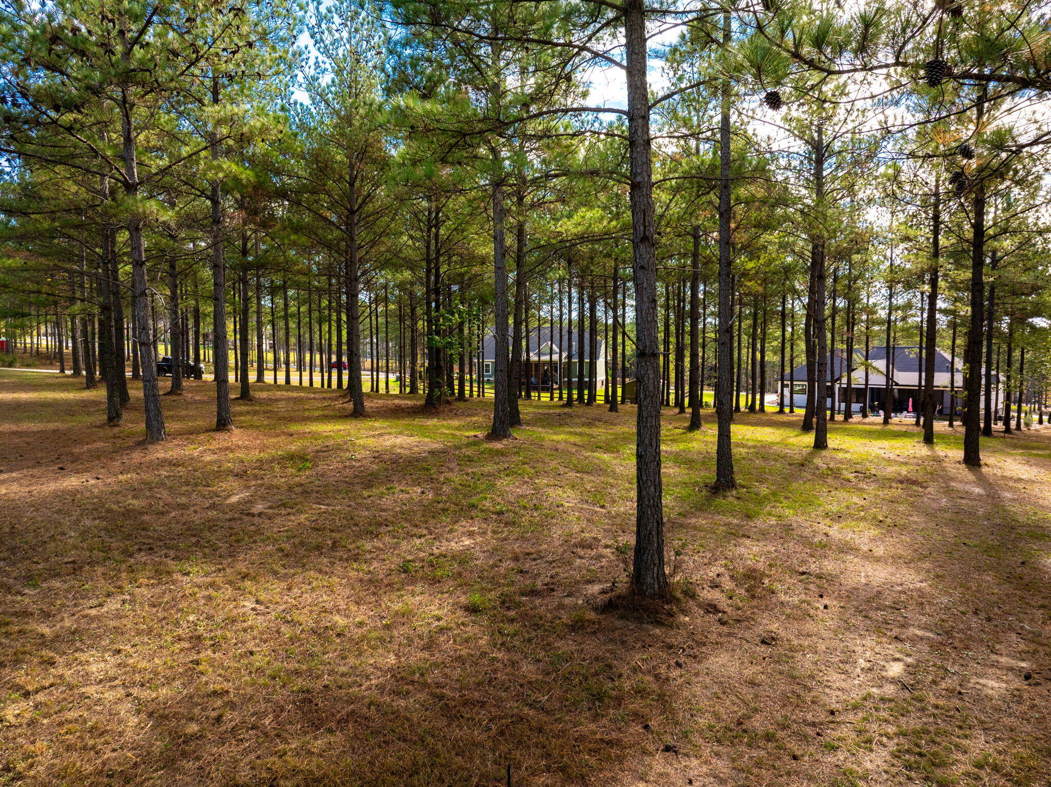 Deer Ridge Point, Jasper, Tennessee image 17