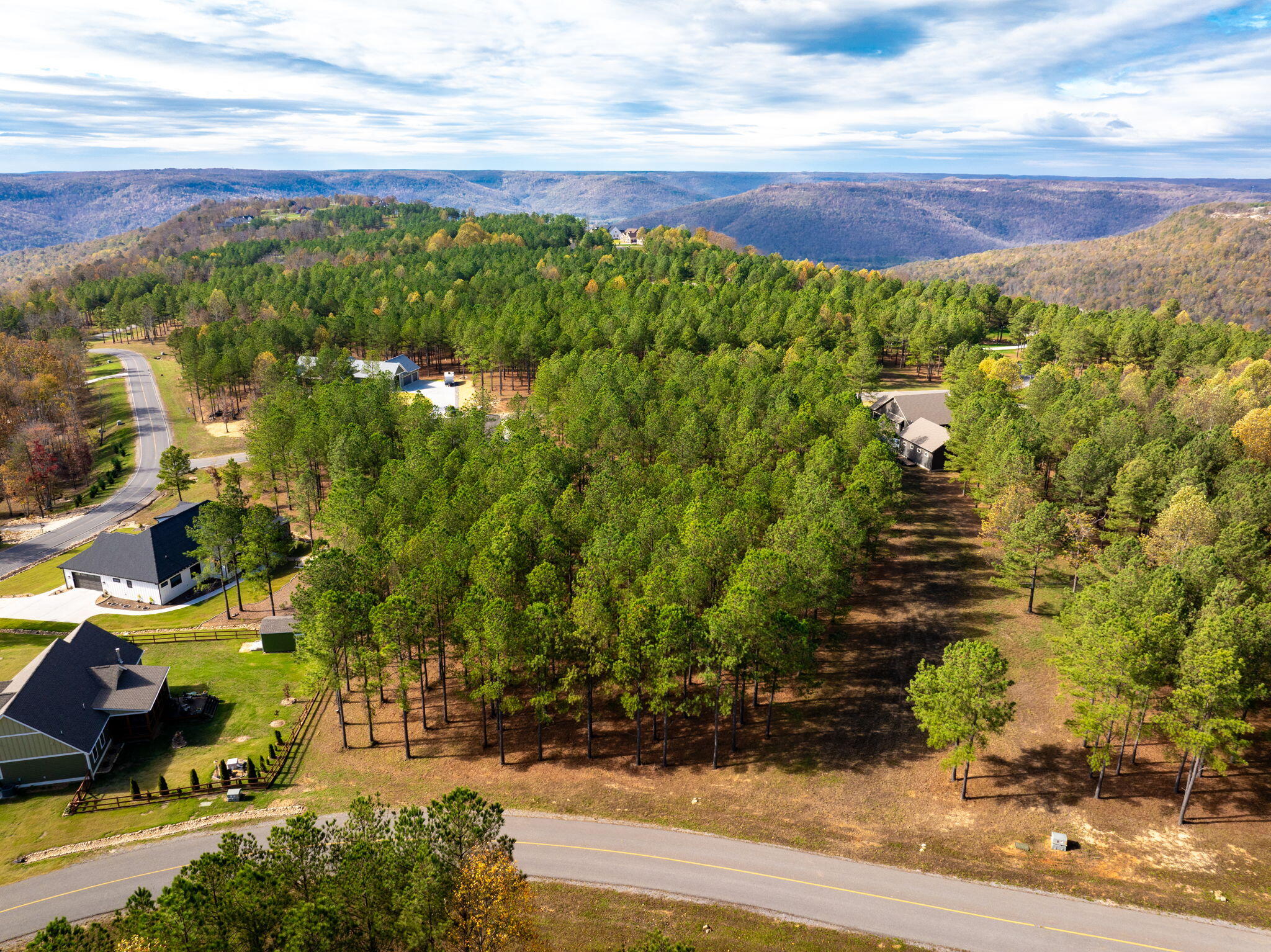 Deer Ridge Point, Jasper, Tennessee image 9