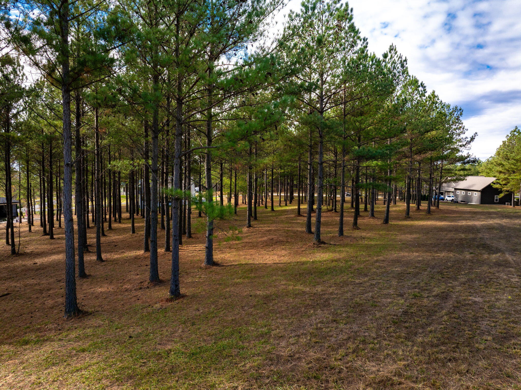 Deer Ridge Point, Jasper, Tennessee image 14