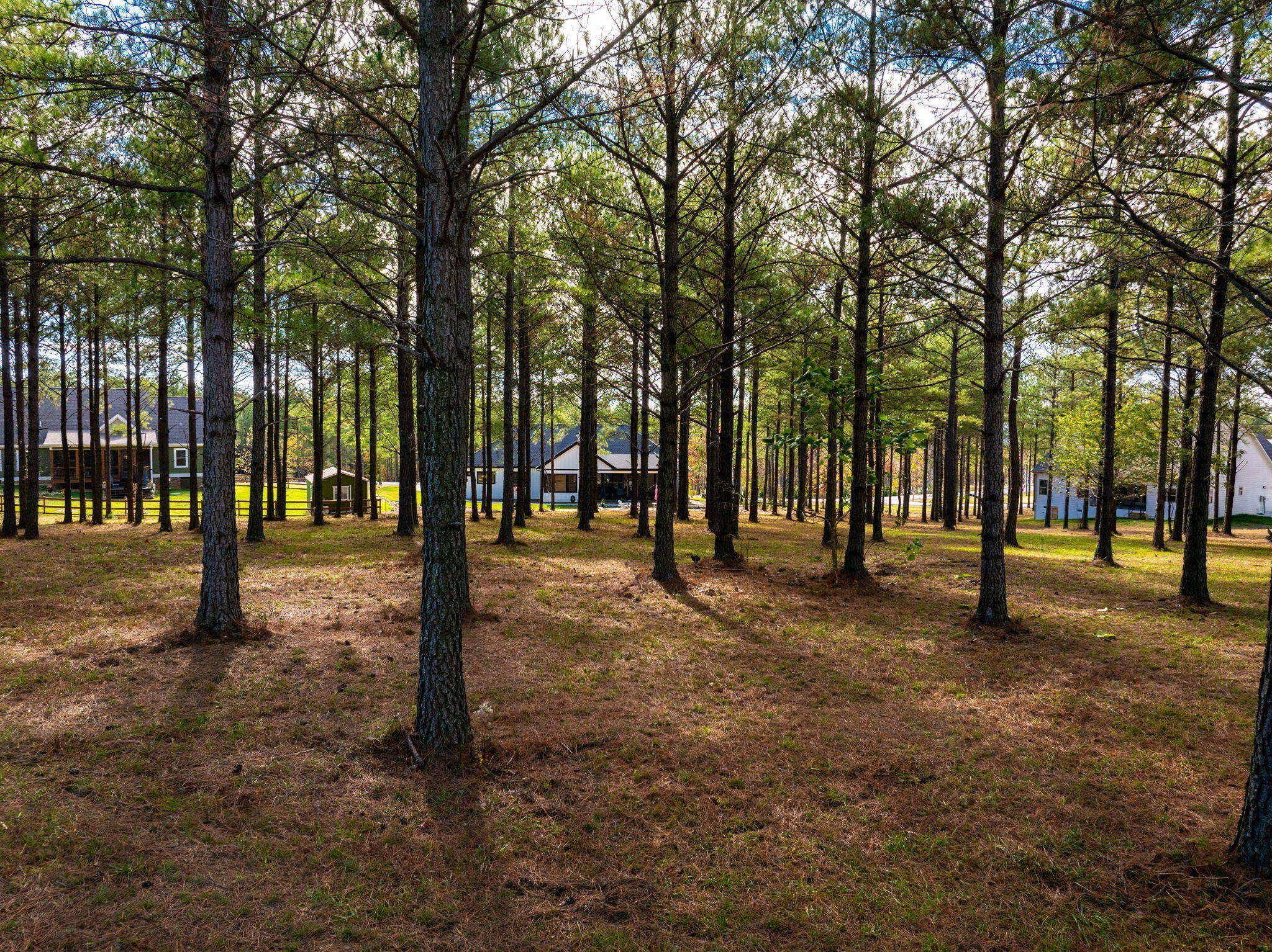Deer Ridge Point, Jasper, Tennessee image 16