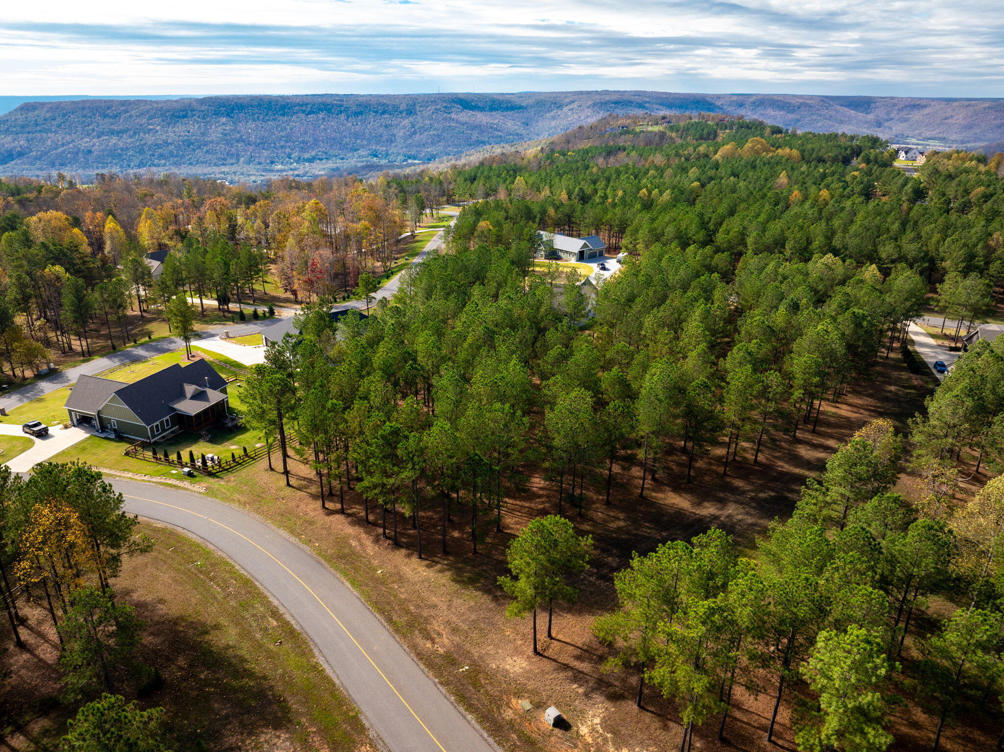 Deer Ridge Point, Jasper, Tennessee image 10