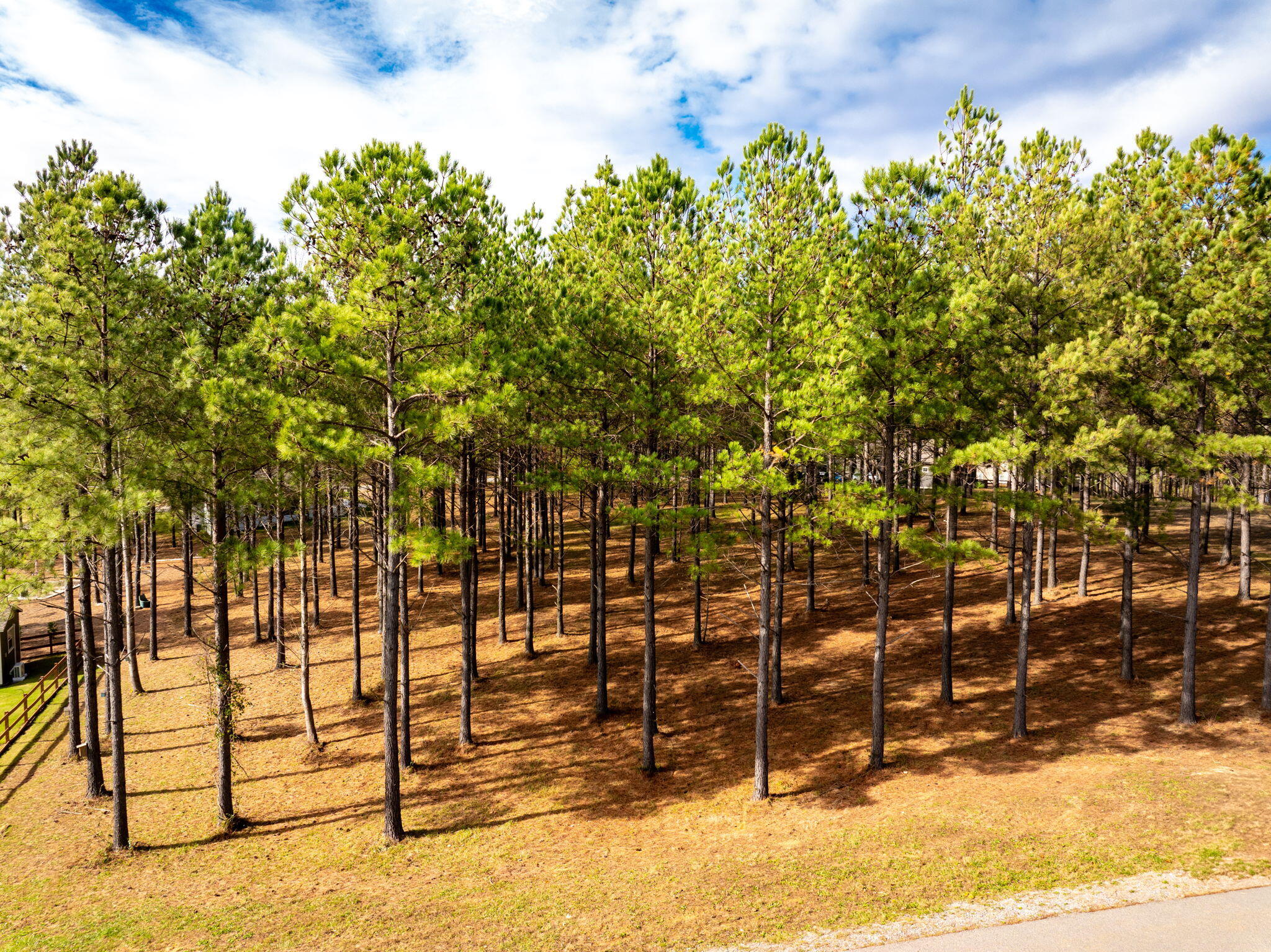 Deer Ridge Point, Jasper, Tennessee image 24