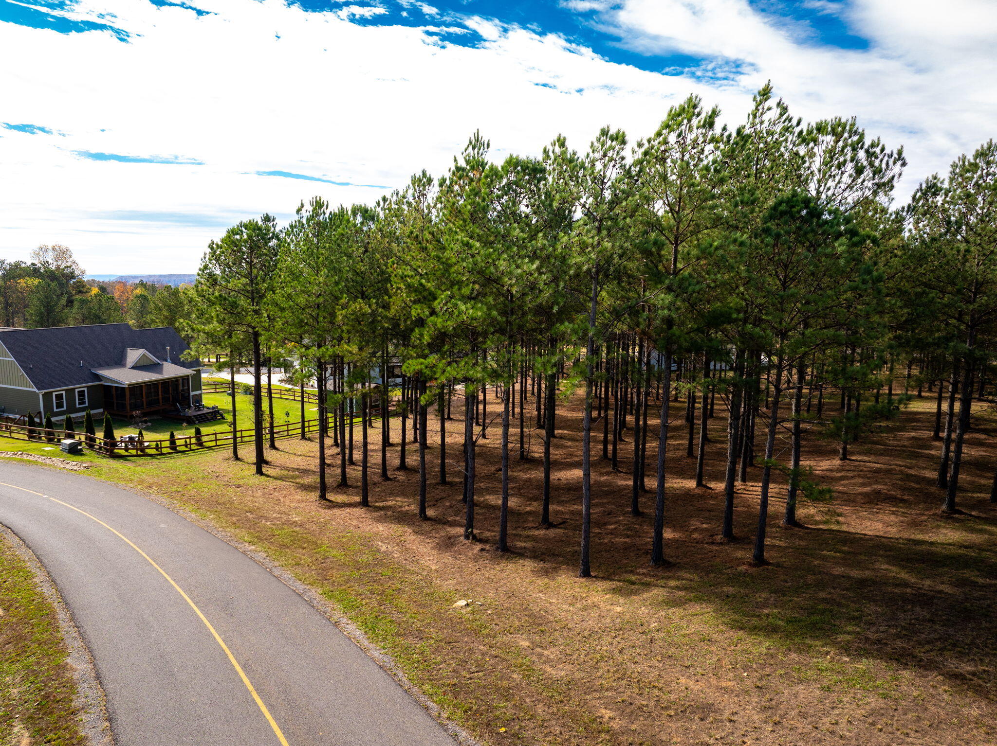 Deer Ridge Point, Jasper, Tennessee image 12
