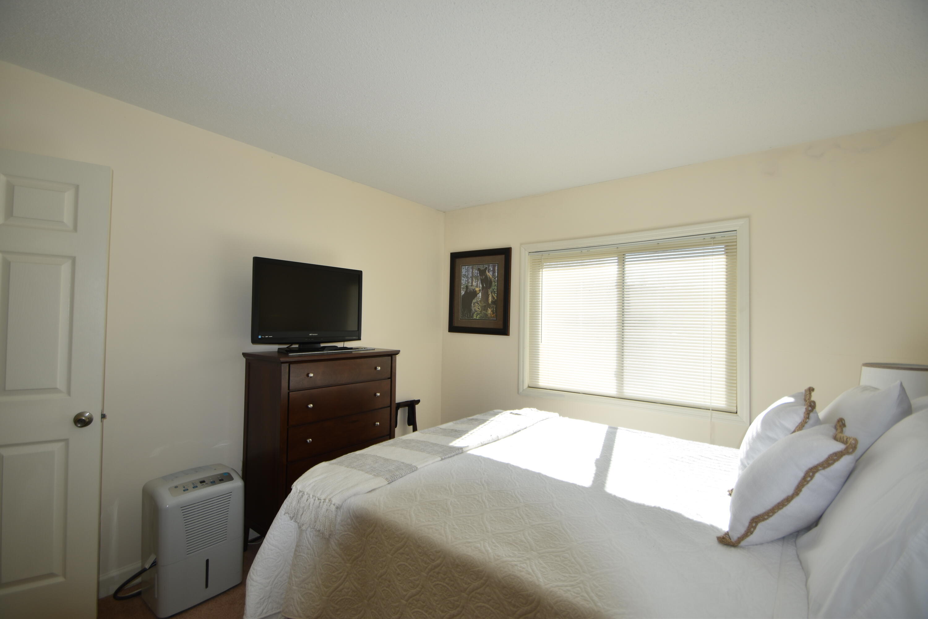 102 Baskins Creek Bypass #UNIT 101, Gatlinburg, Tennessee image 15