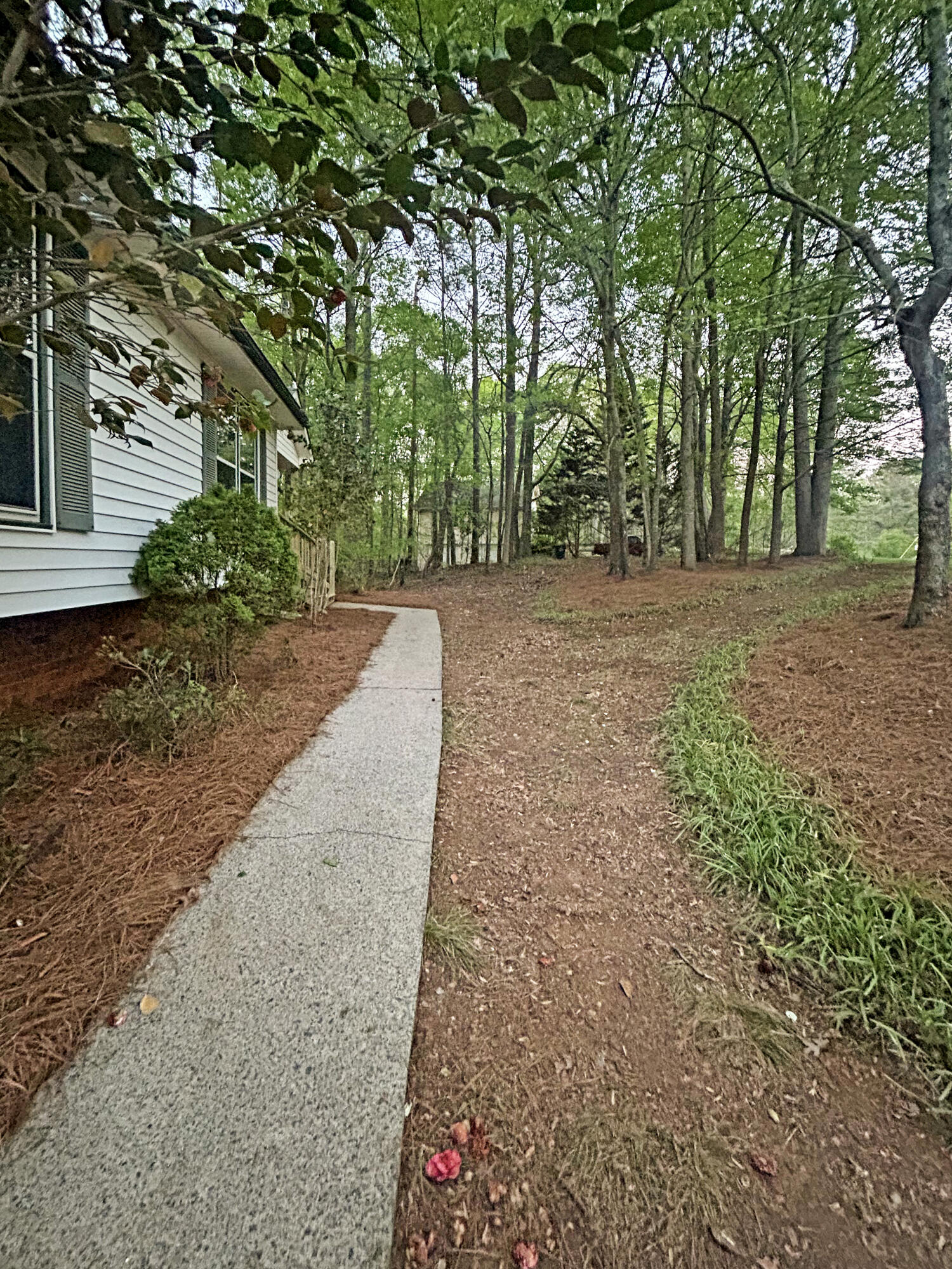 152 Northwoods Circle, Ball Ground, Georgia image 4