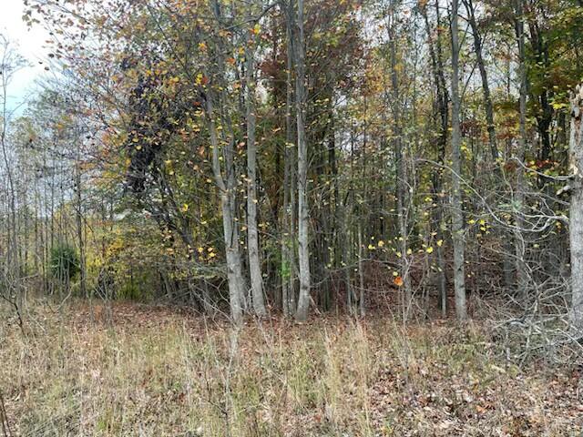 580 Preservation Drive, South Pittsburg, Tennessee image 3