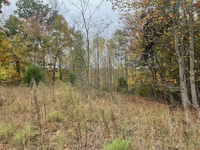 580 Preservation Drive, South Pittsburg, Tennessee image 4
