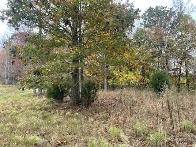 580 Preservation Drive, South Pittsburg, Tennessee image 5