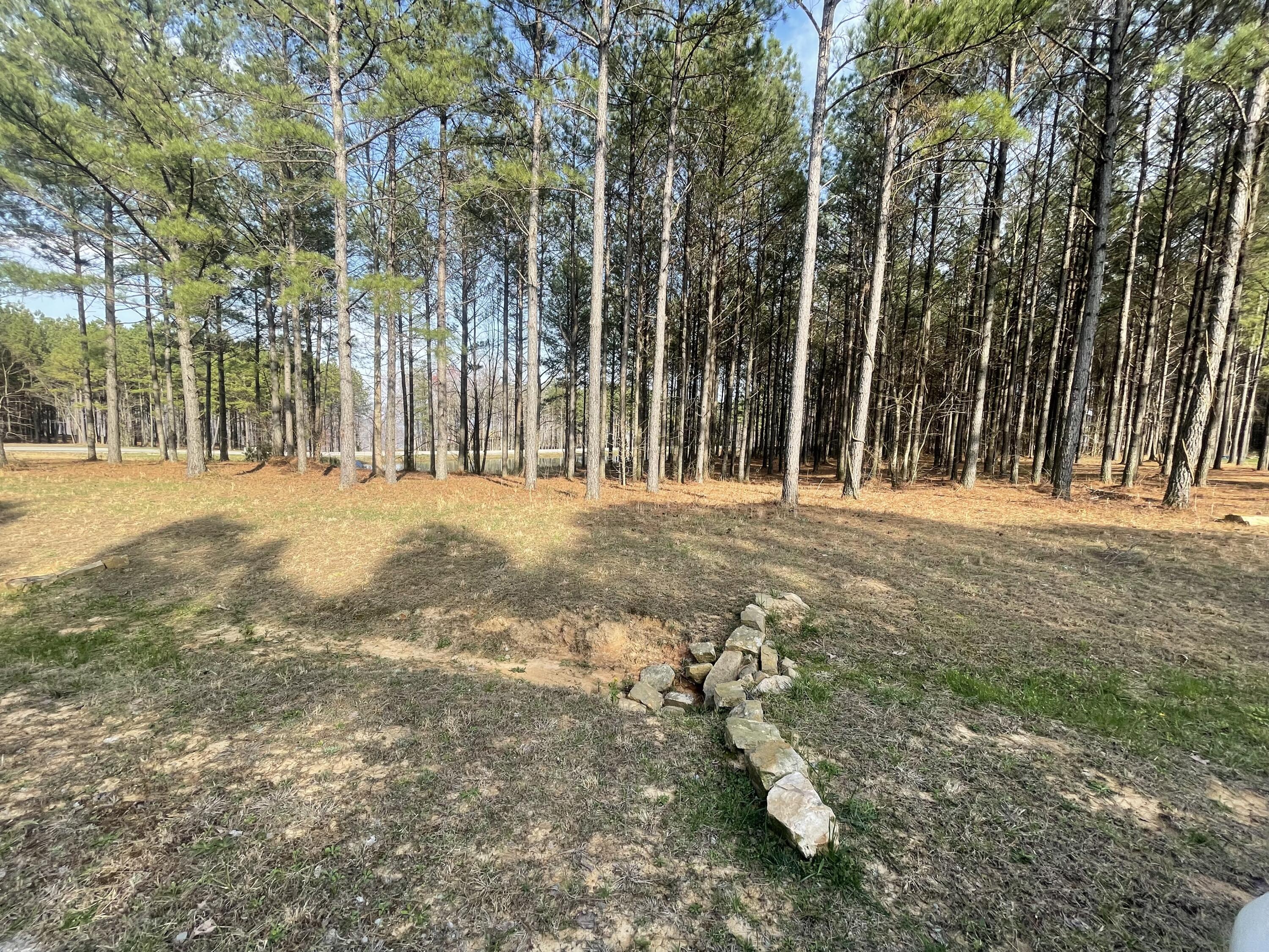 179 High Point Lane, Jasper, Tennessee image 25