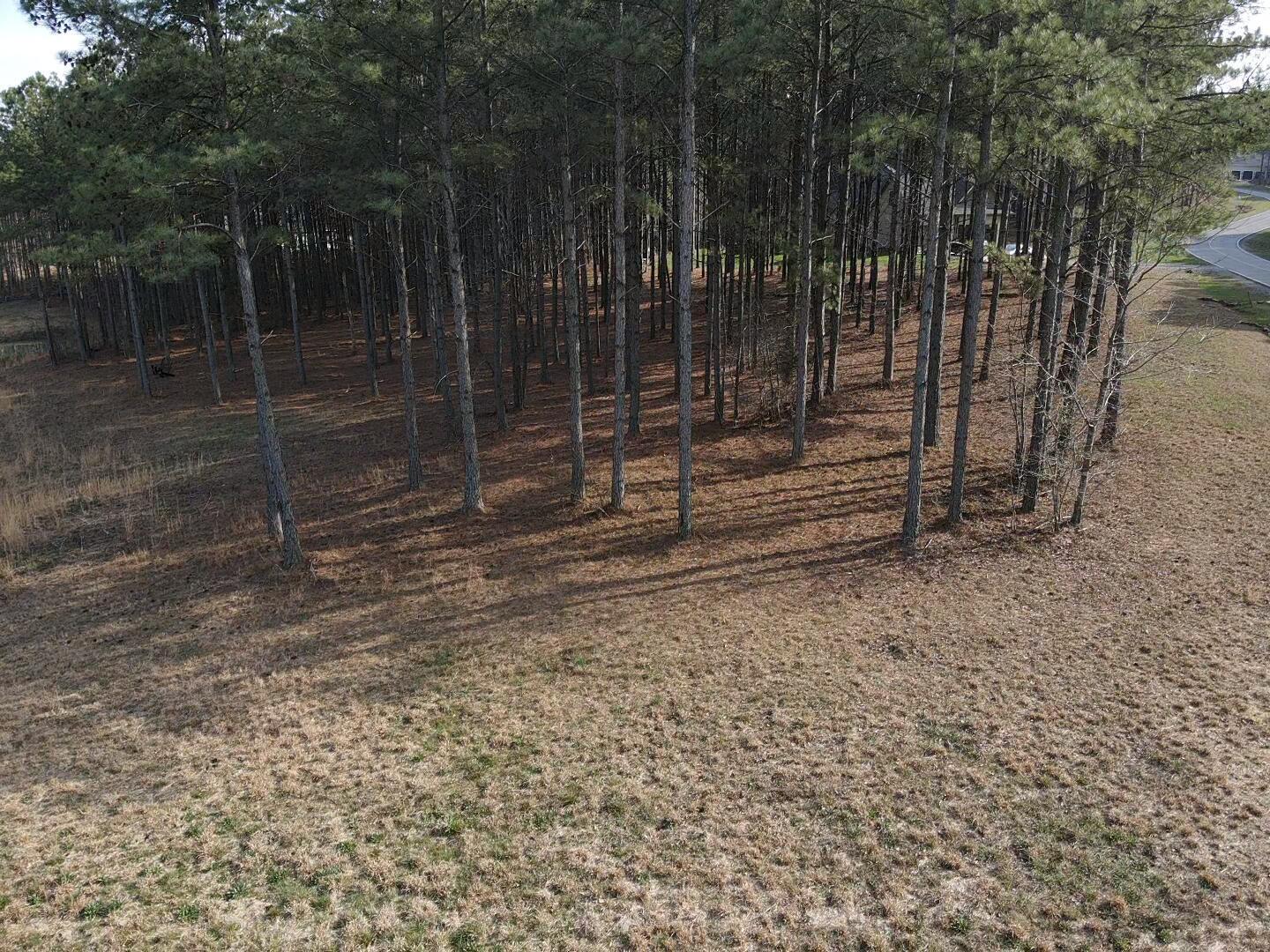 179 High Point Lane, Jasper, Tennessee image 40