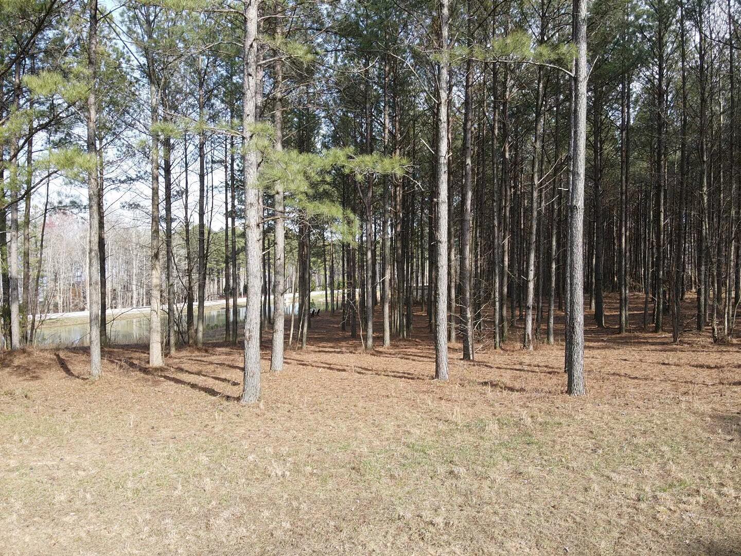 179 High Point Lane, Jasper, Tennessee image 33