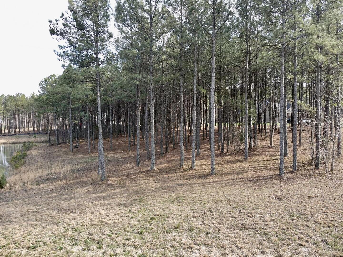 179 High Point Lane, Jasper, Tennessee image 13
