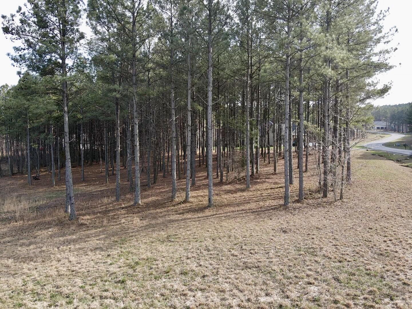 179 High Point Lane, Jasper, Tennessee image 8