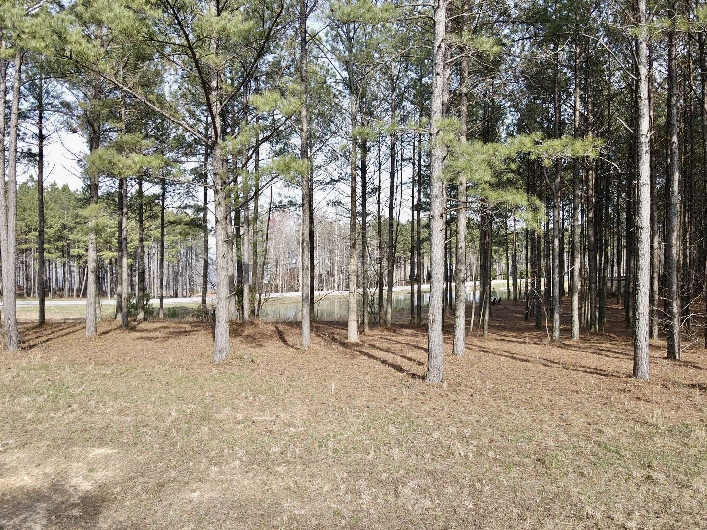179 High Point Lane, Jasper, Tennessee image 14