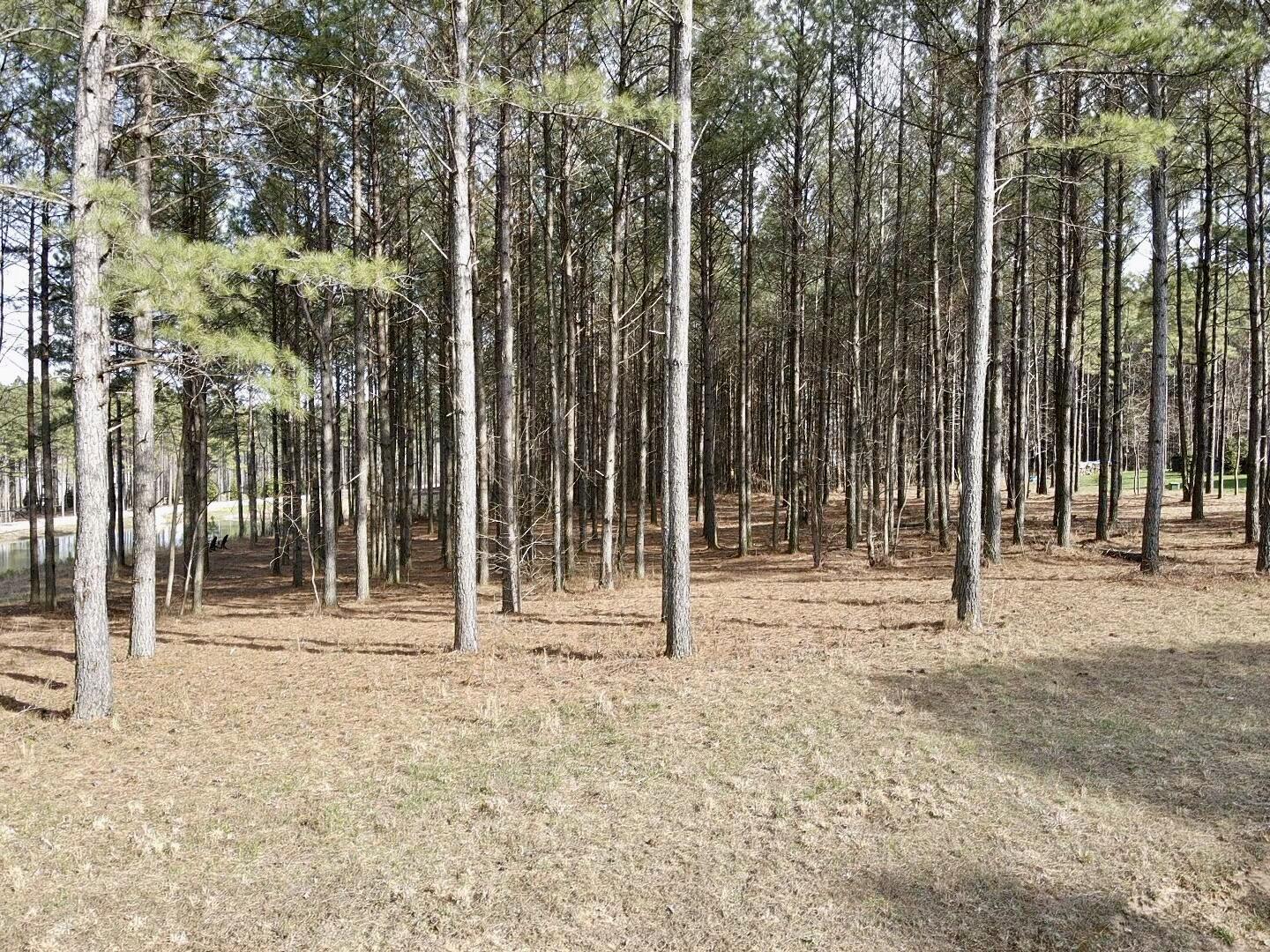 179 High Point Lane, Jasper, Tennessee image 7