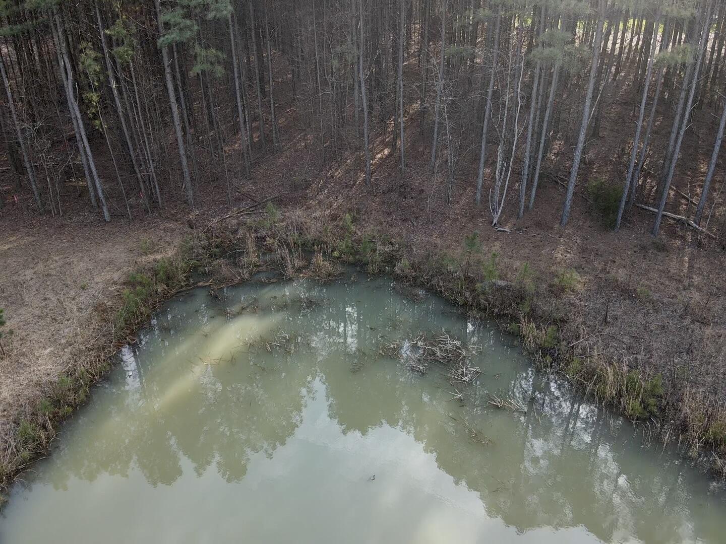179 High Point Lane, Jasper, Tennessee image 37