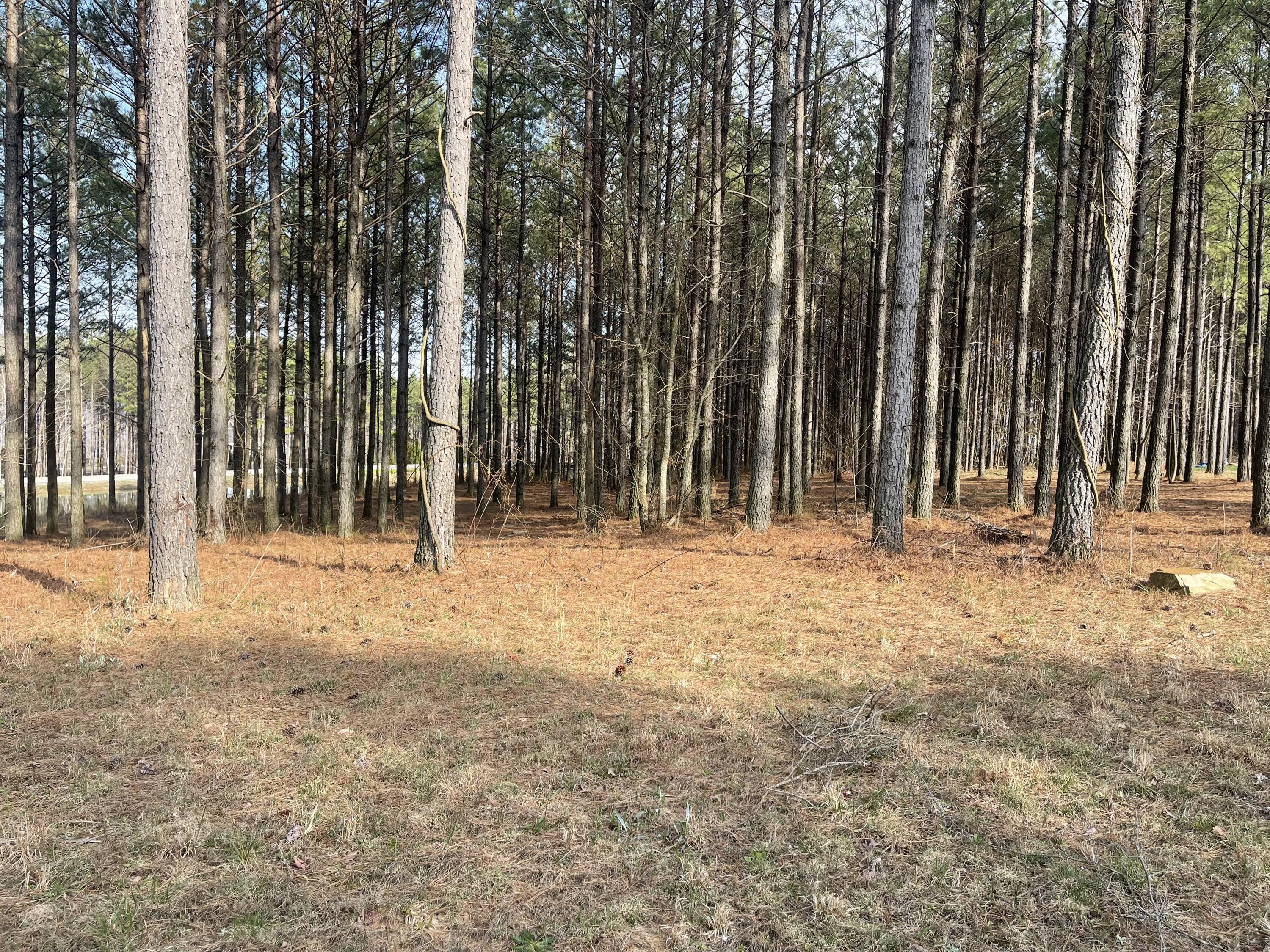 179 High Point Lane, Jasper, Tennessee image 31