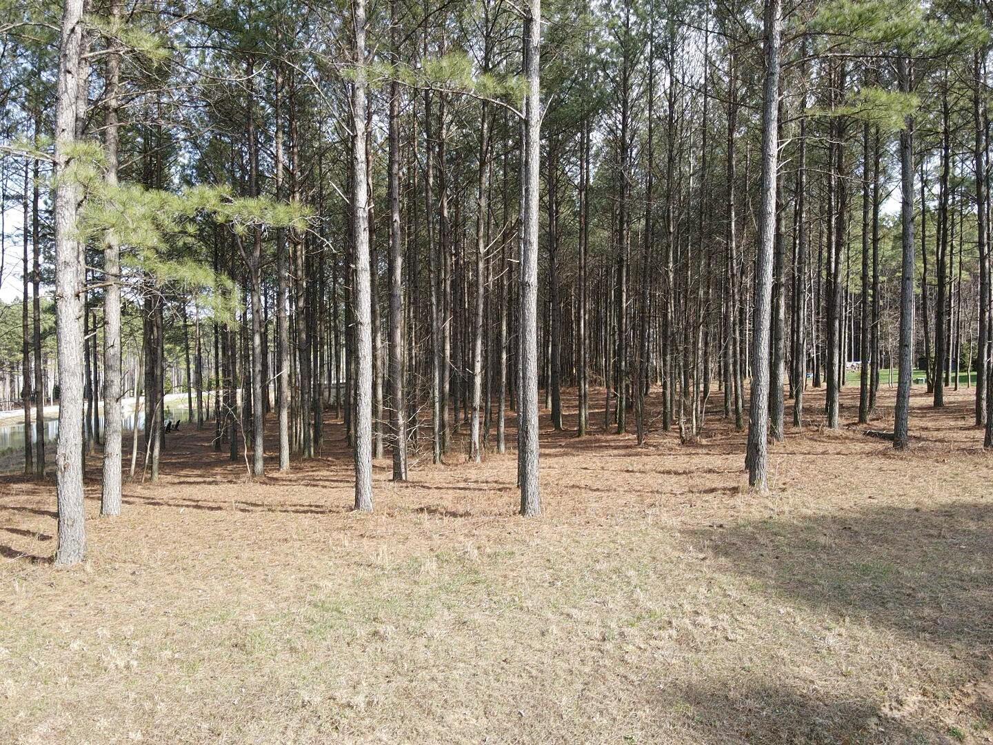 179 High Point Lane, Jasper, Tennessee image 34