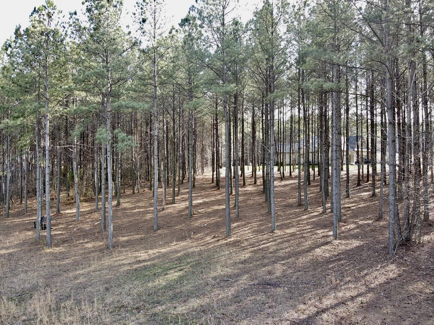 179 High Point Lane, Jasper, Tennessee image 11