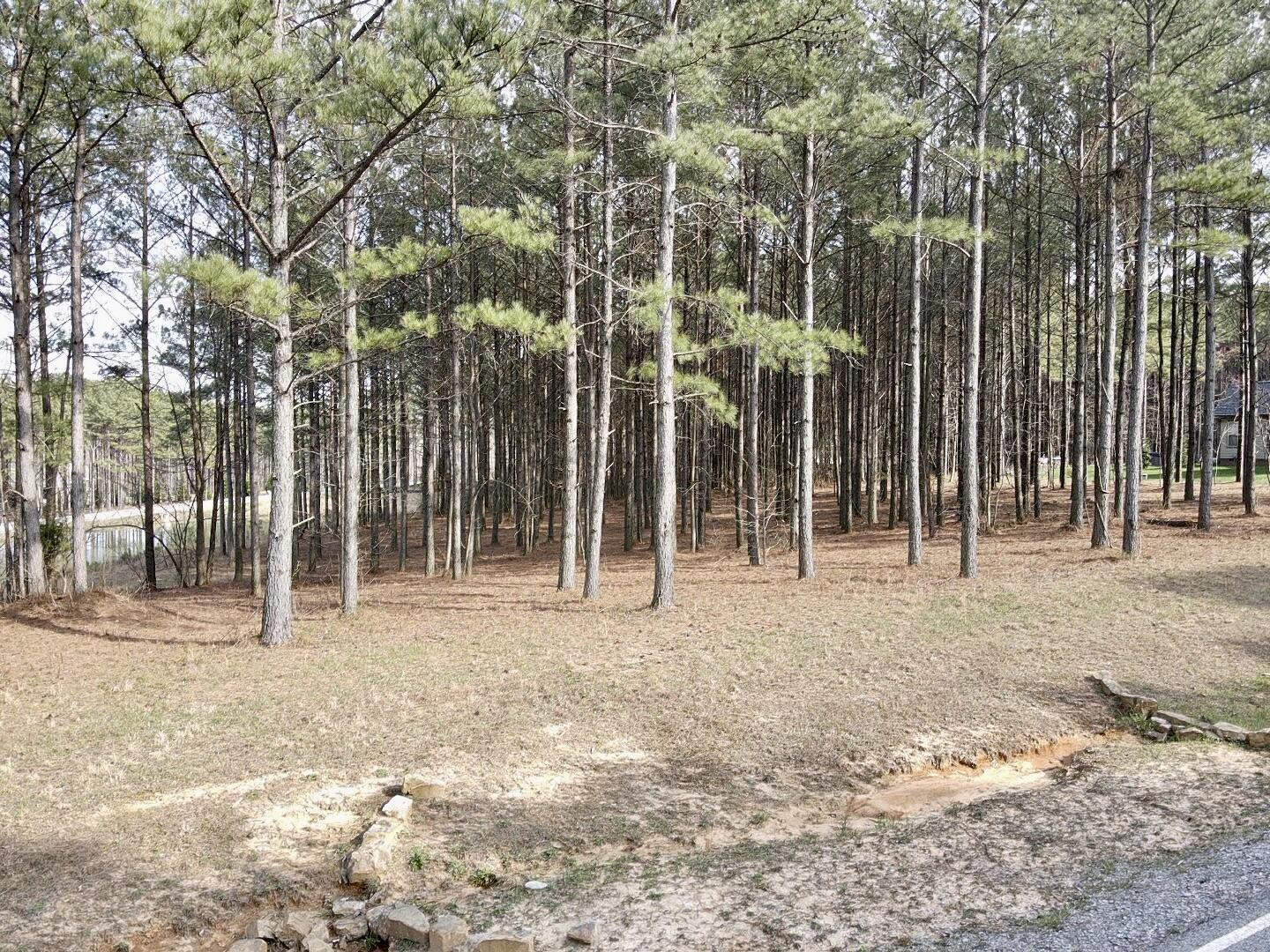 179 High Point Lane, Jasper, Tennessee image 17