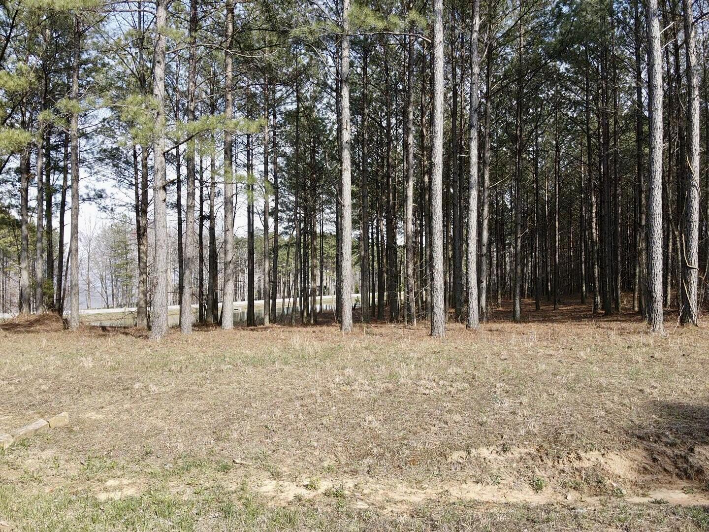 179 High Point Lane, Jasper, Tennessee image 19