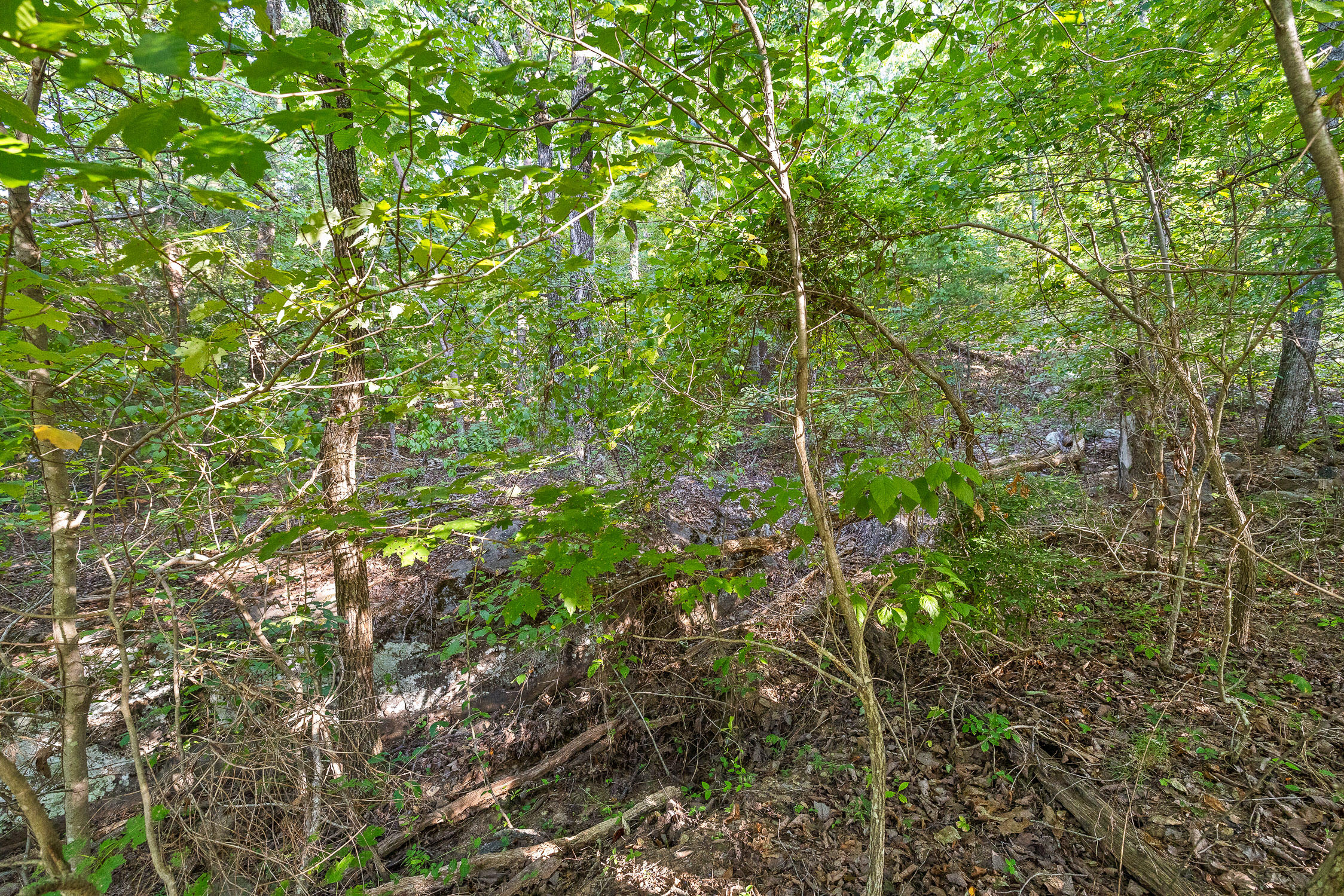 7783 Rocky Ledge Drive, Hixson, Tennessee image 11