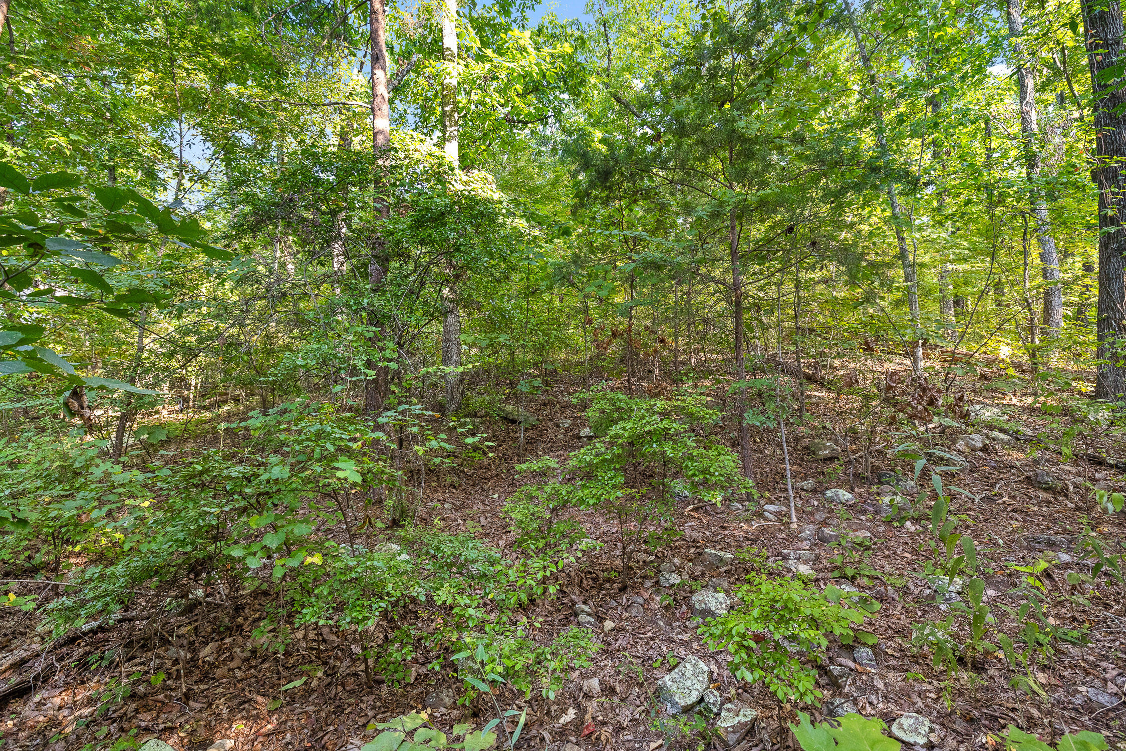 7783 Rocky Ledge Drive, Hixson, Tennessee image 12