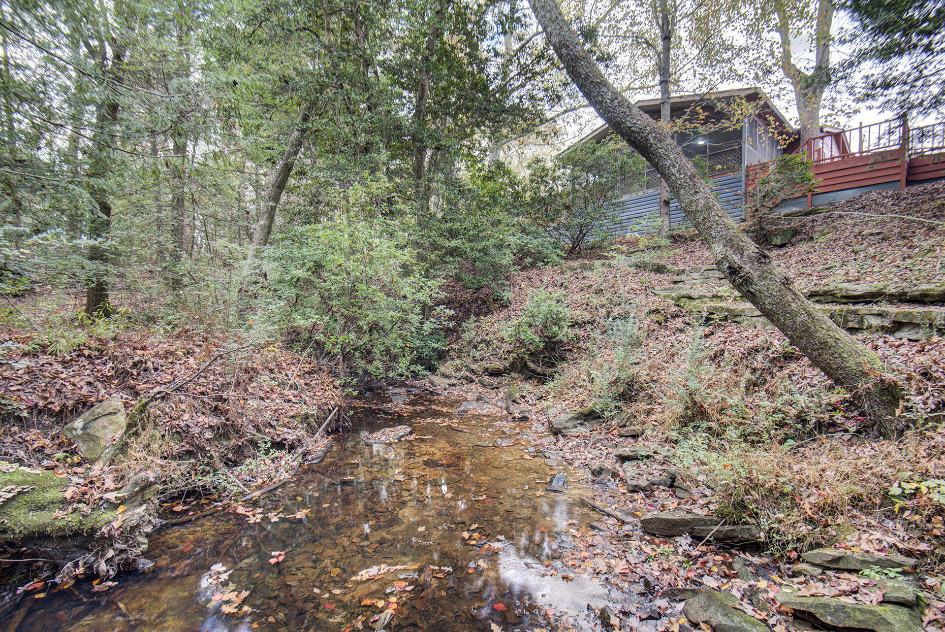 134 Old Spring Road, Rising Fawn, Georgia image 12