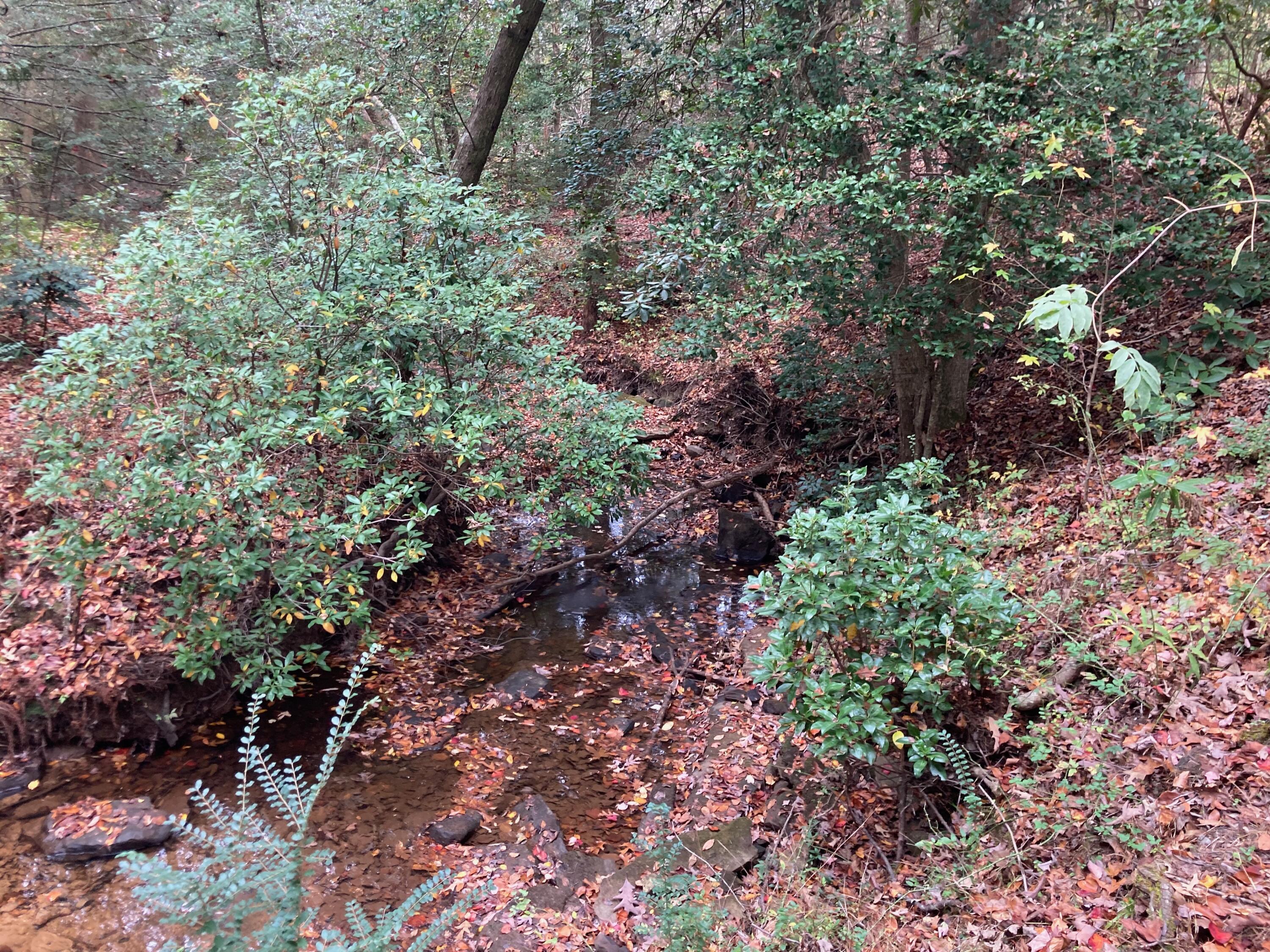 134 Old Spring Road, Rising Fawn, Georgia image 11