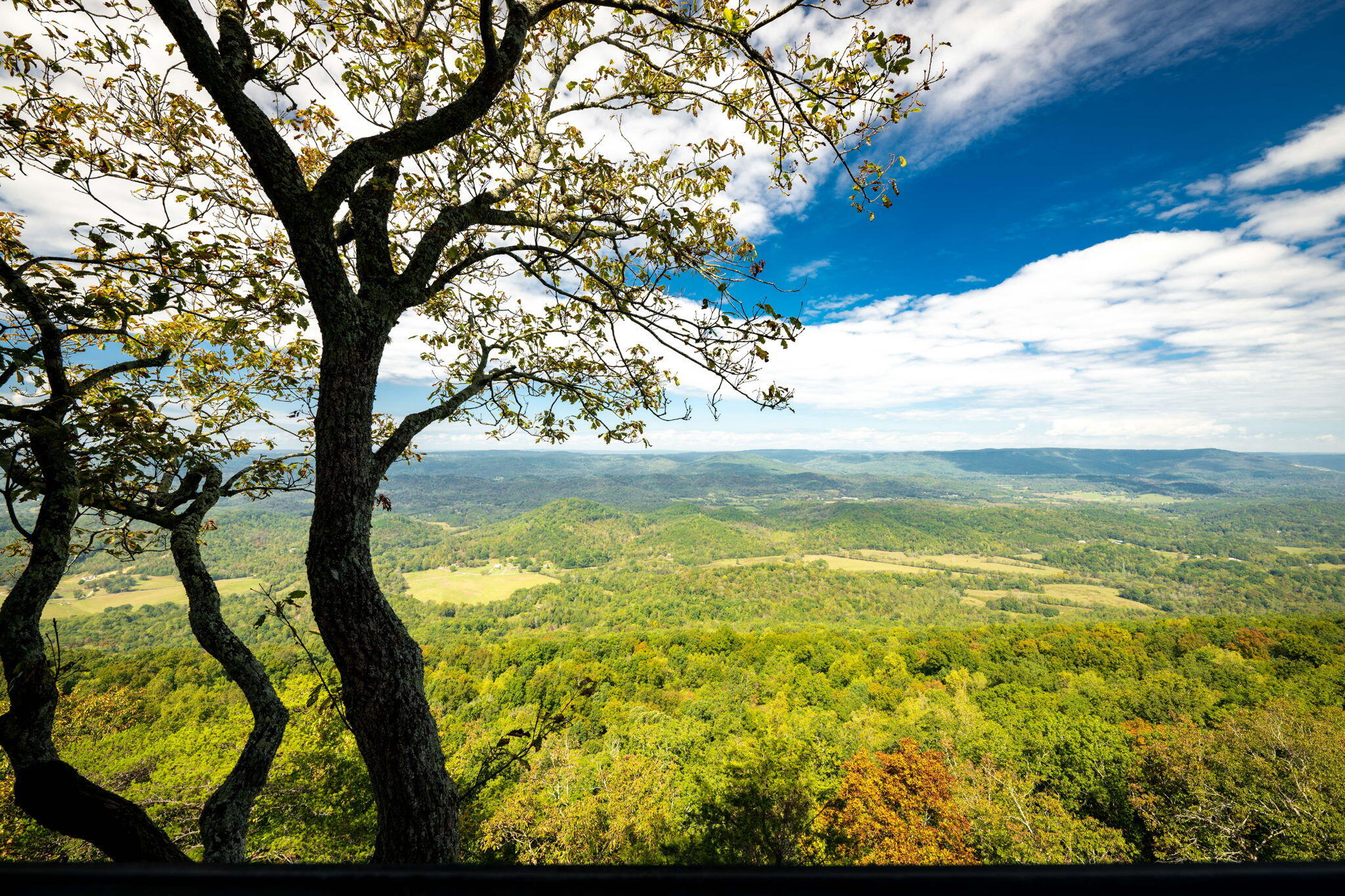 8761 Scenic Highway, Lookout Mountain, Georgia image 7