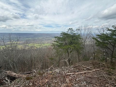 Tiny photo for Lot 15 Scenic Highway, Rising Fawn, GA 30738 (MLS # 1531137)