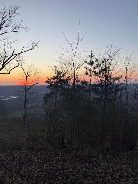 Tiny photo for Lot 15 Scenic Highway, Rising Fawn, GA 30738 (MLS # 1531137)