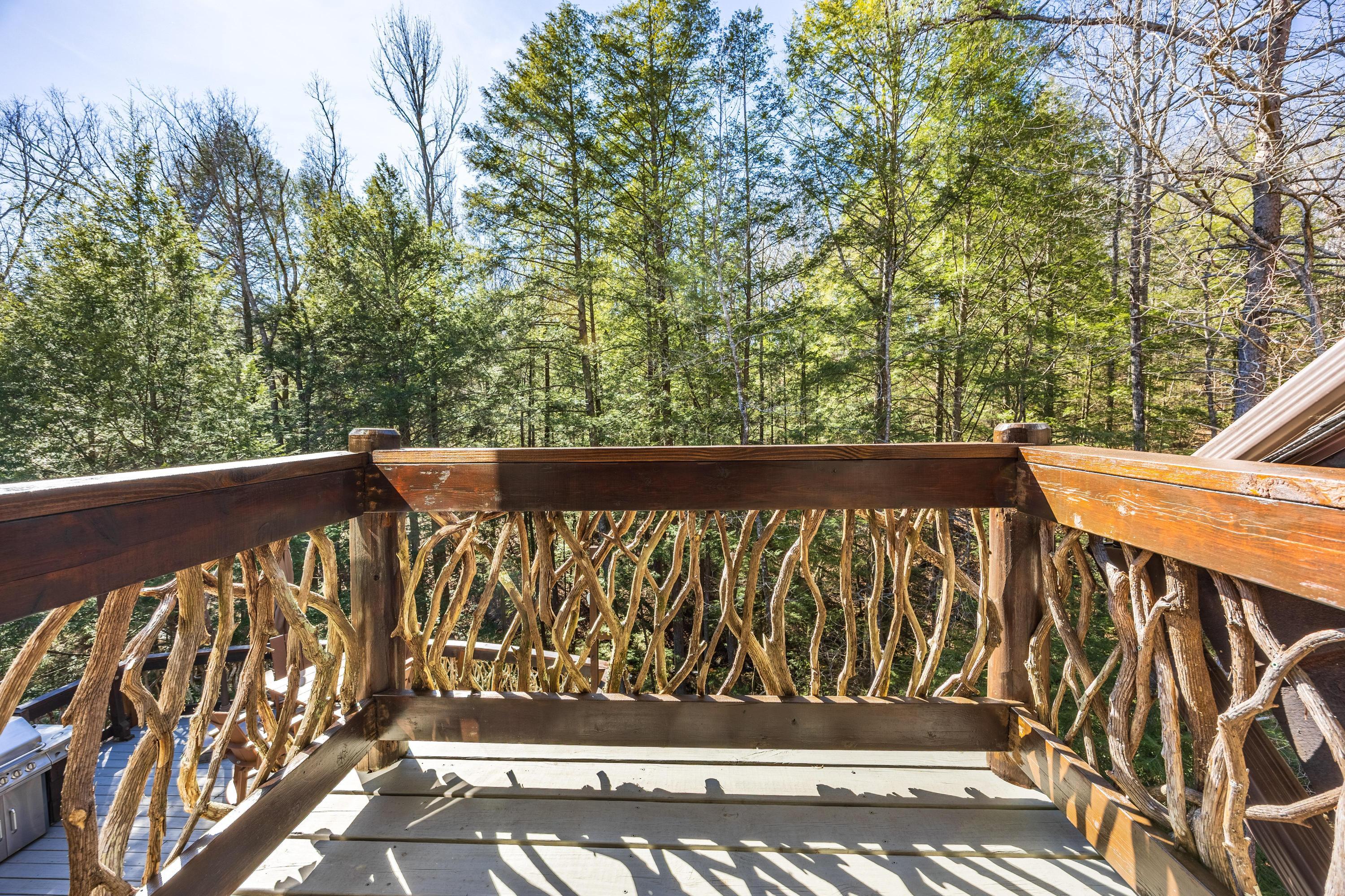 160 Tall Tree Trail, Dunlap, Tennessee image 25
