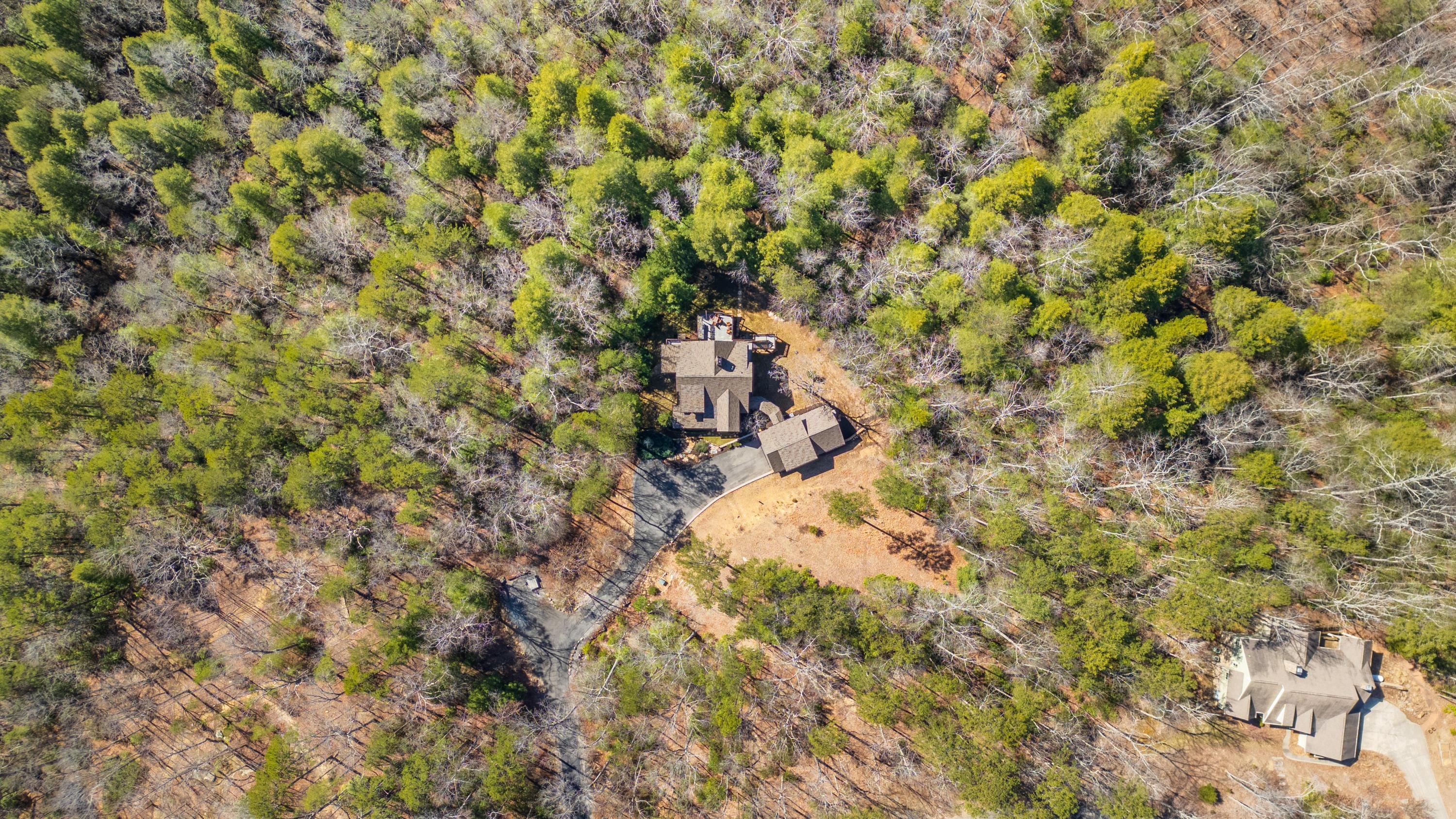 160 Tall Tree Trail, Dunlap, Tennessee image 37