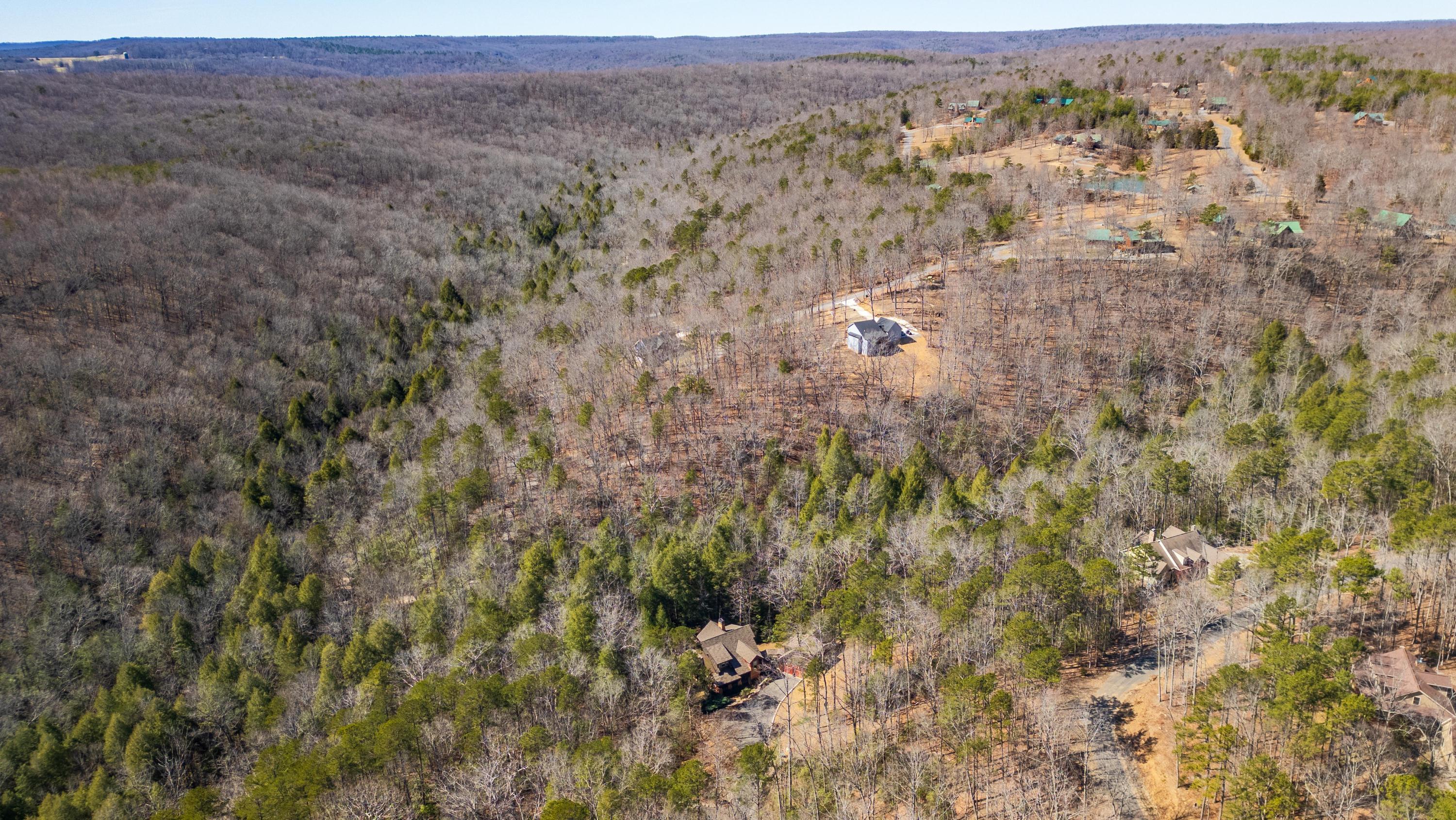 160 Tall Tree Trail, Dunlap, Tennessee image 39