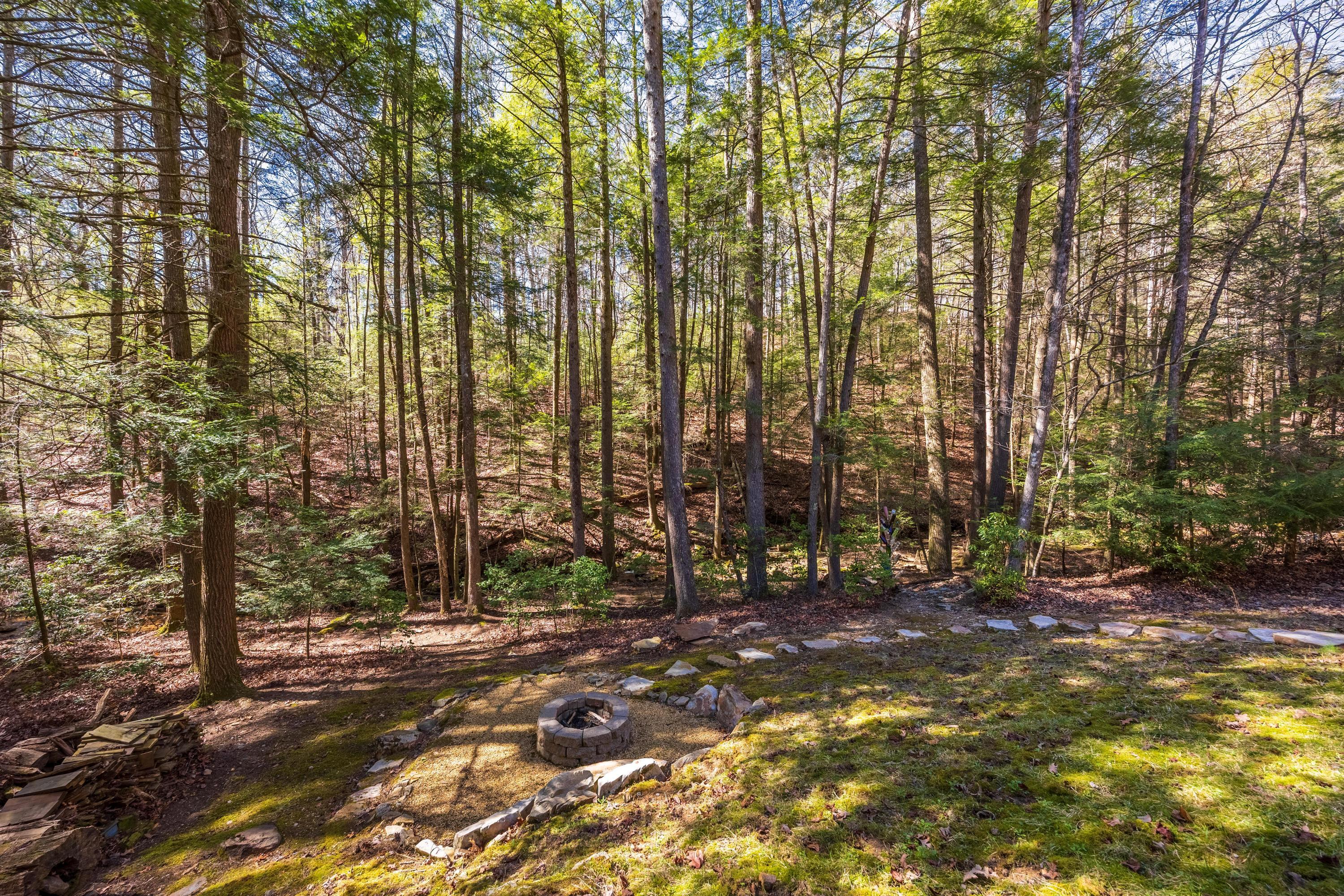 160 Tall Tree Trail, Dunlap, Tennessee image 33