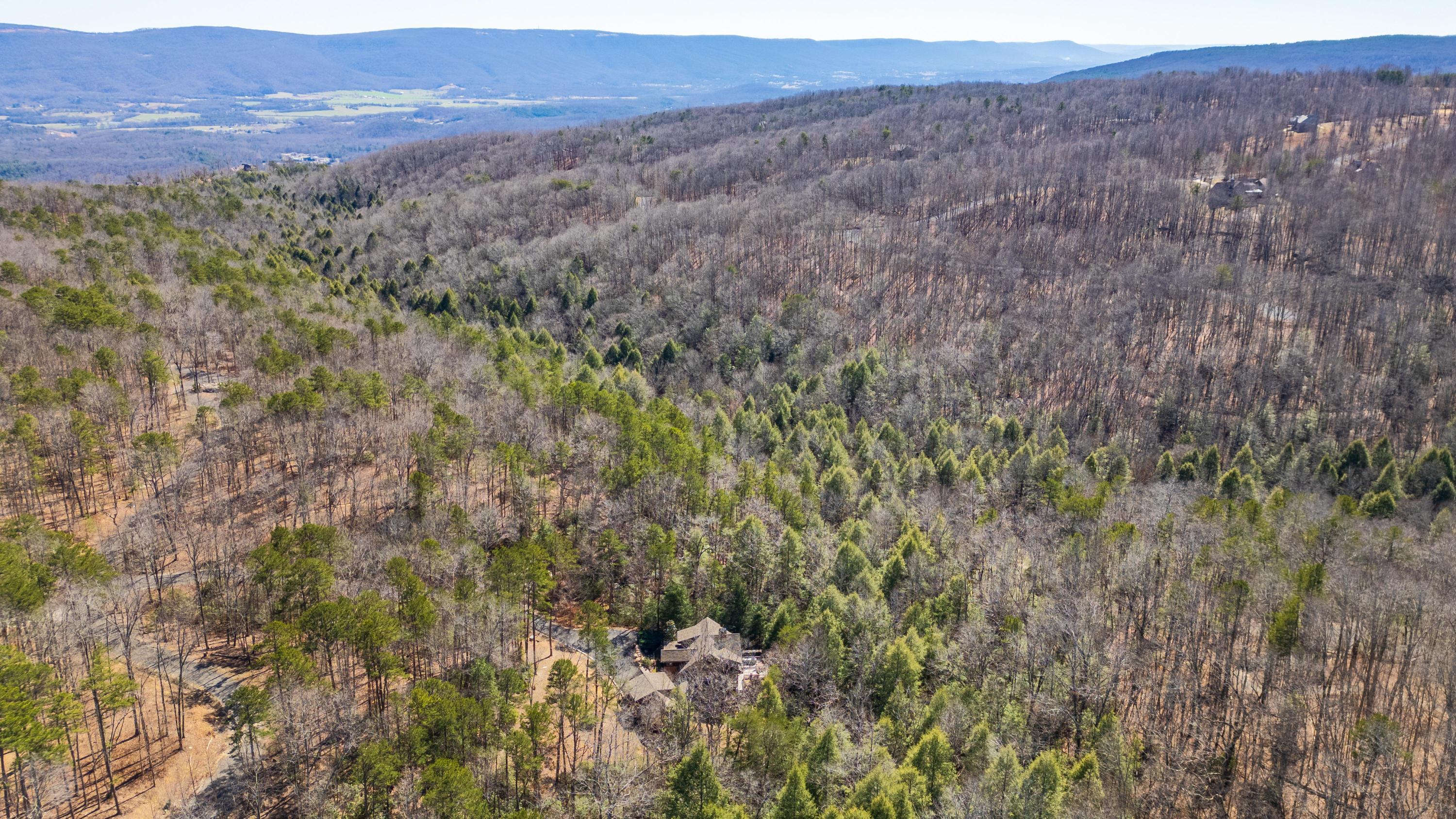 160 Tall Tree Trail, Dunlap, Tennessee image 38