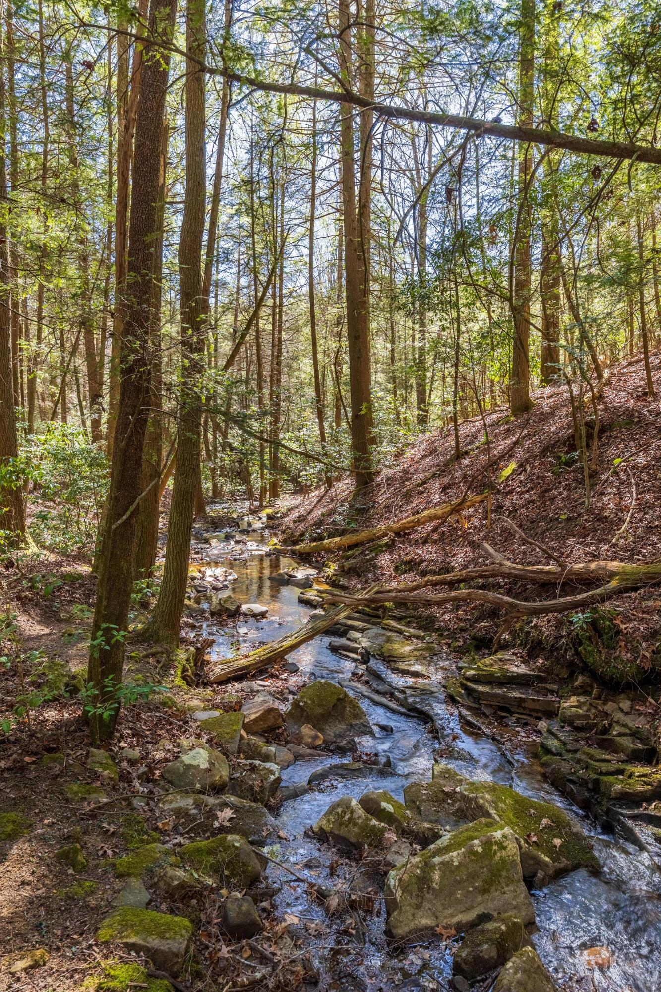 160 Tall Tree Trail, Dunlap, Tennessee image 35