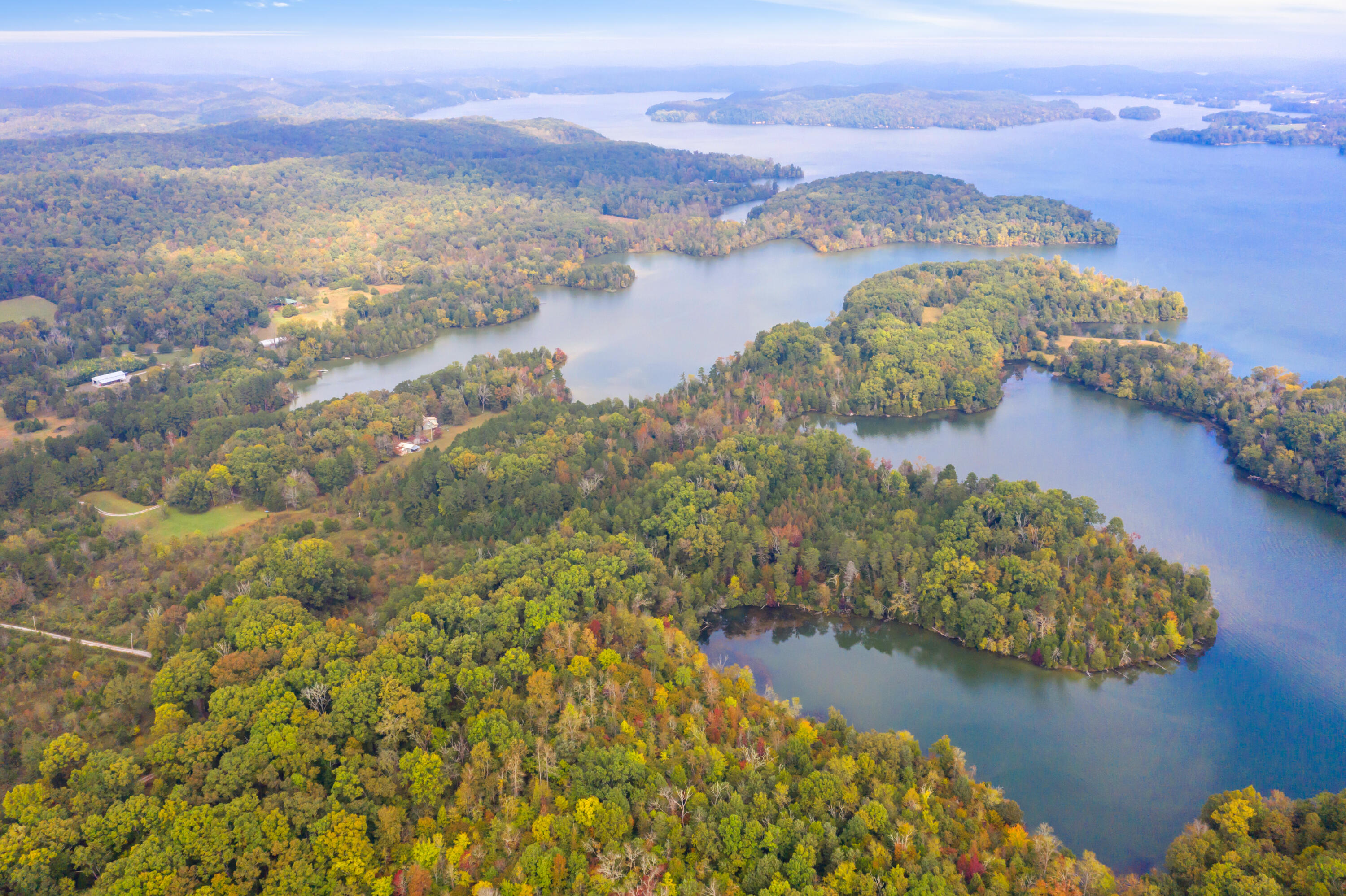 Rodgers Lane, Rockwood, Tennessee image 7