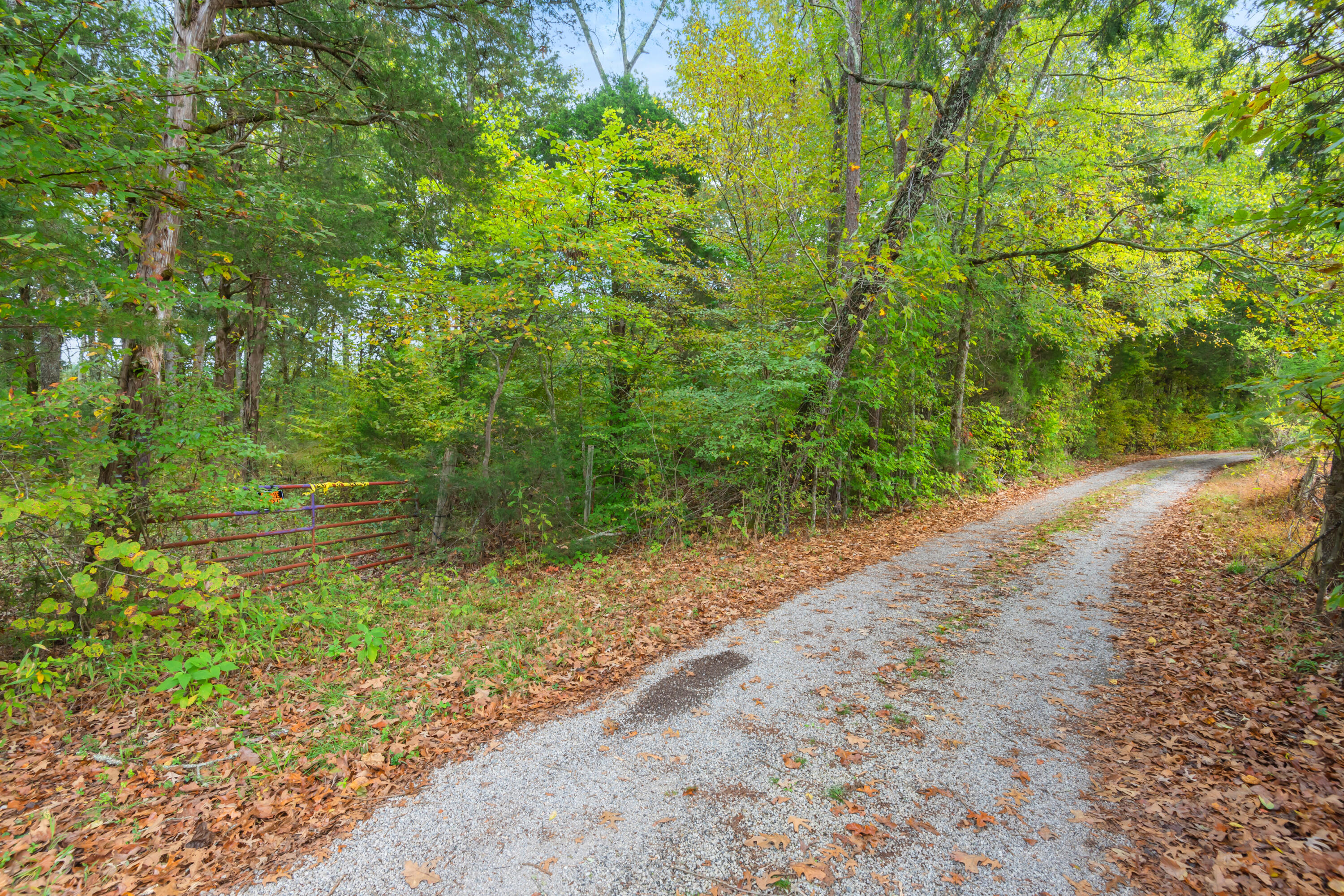 Rodgers Lane, Rockwood, Tennessee image 21