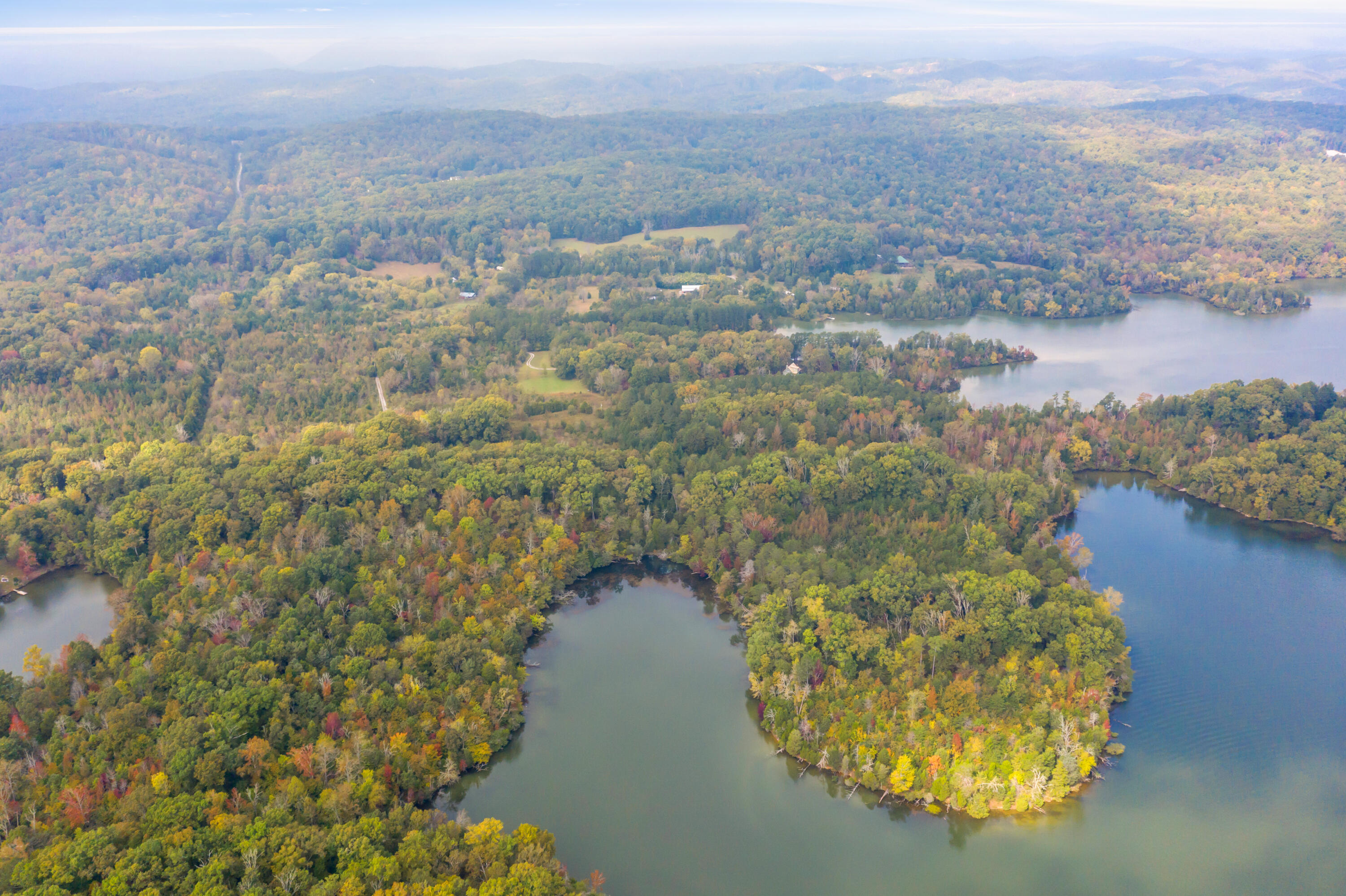 Rodgers Lane, Rockwood, Tennessee image 6