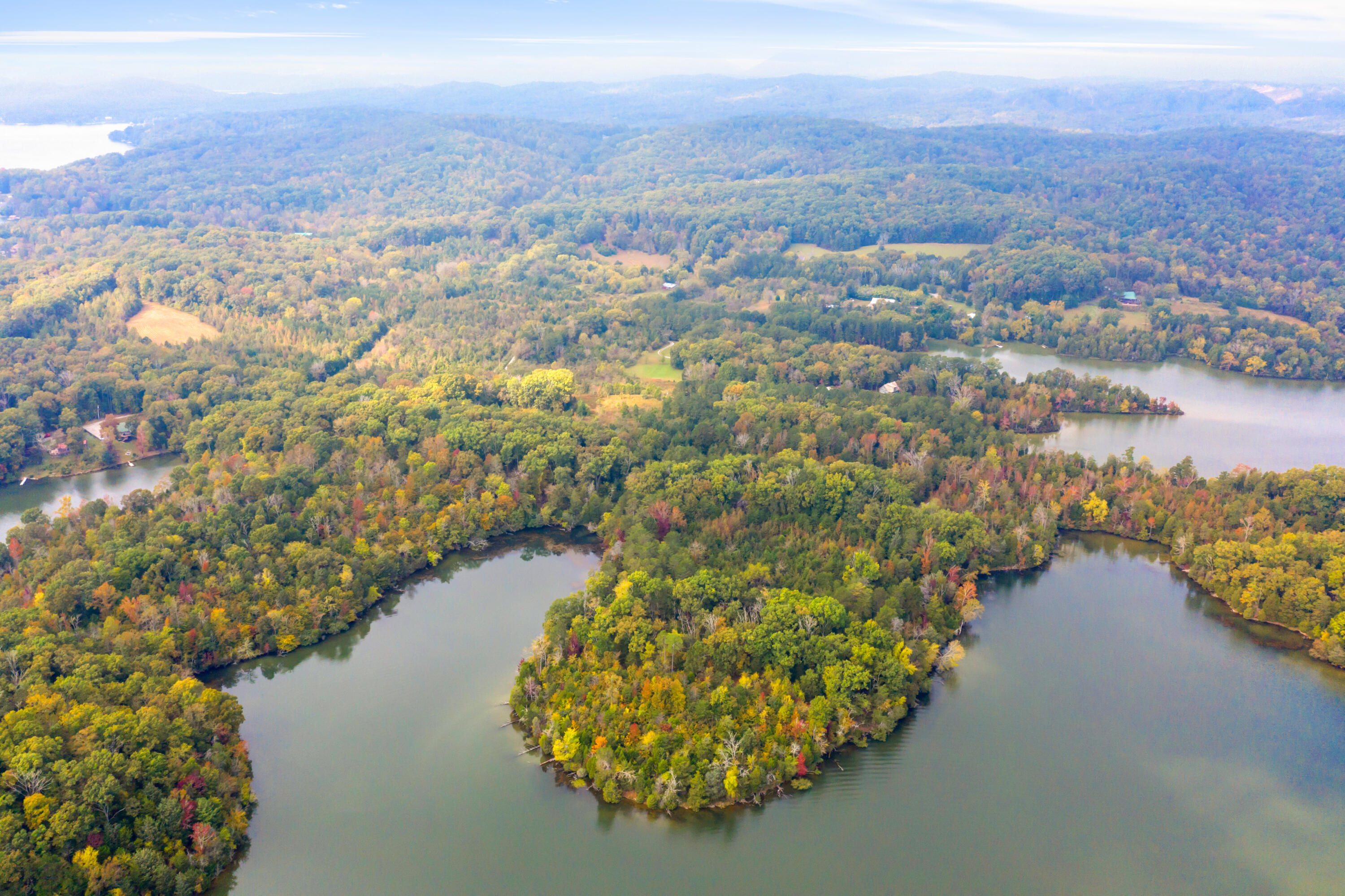 Rodgers Lane, Rockwood, Tennessee image 9